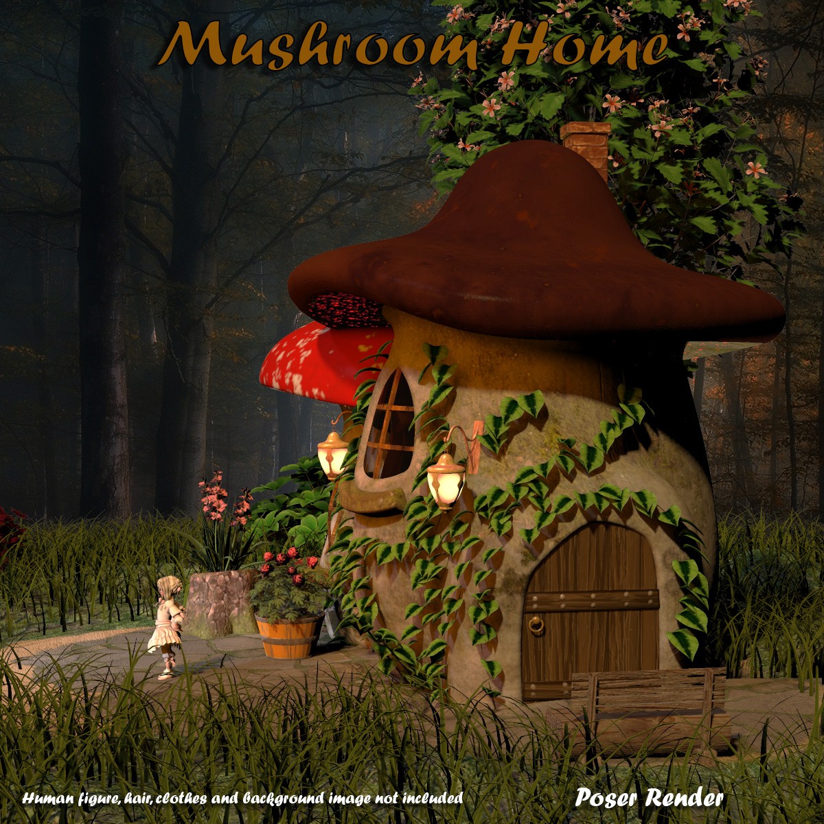 AJ Mushroom Home by N/A