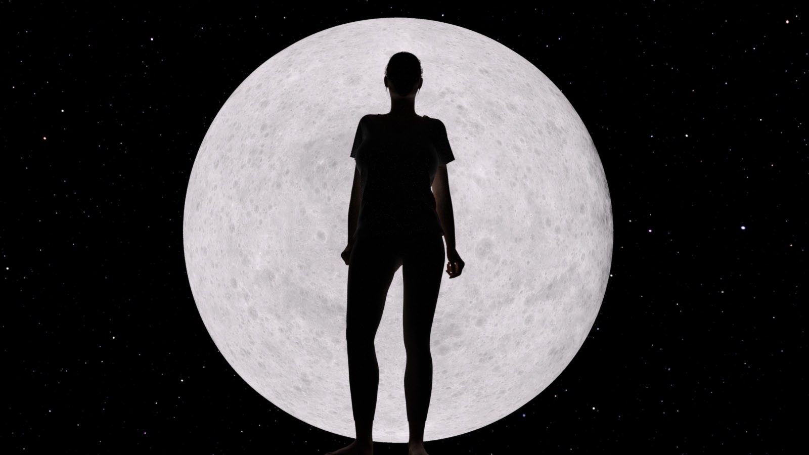 Photo Props: Moon Phases by N/A
