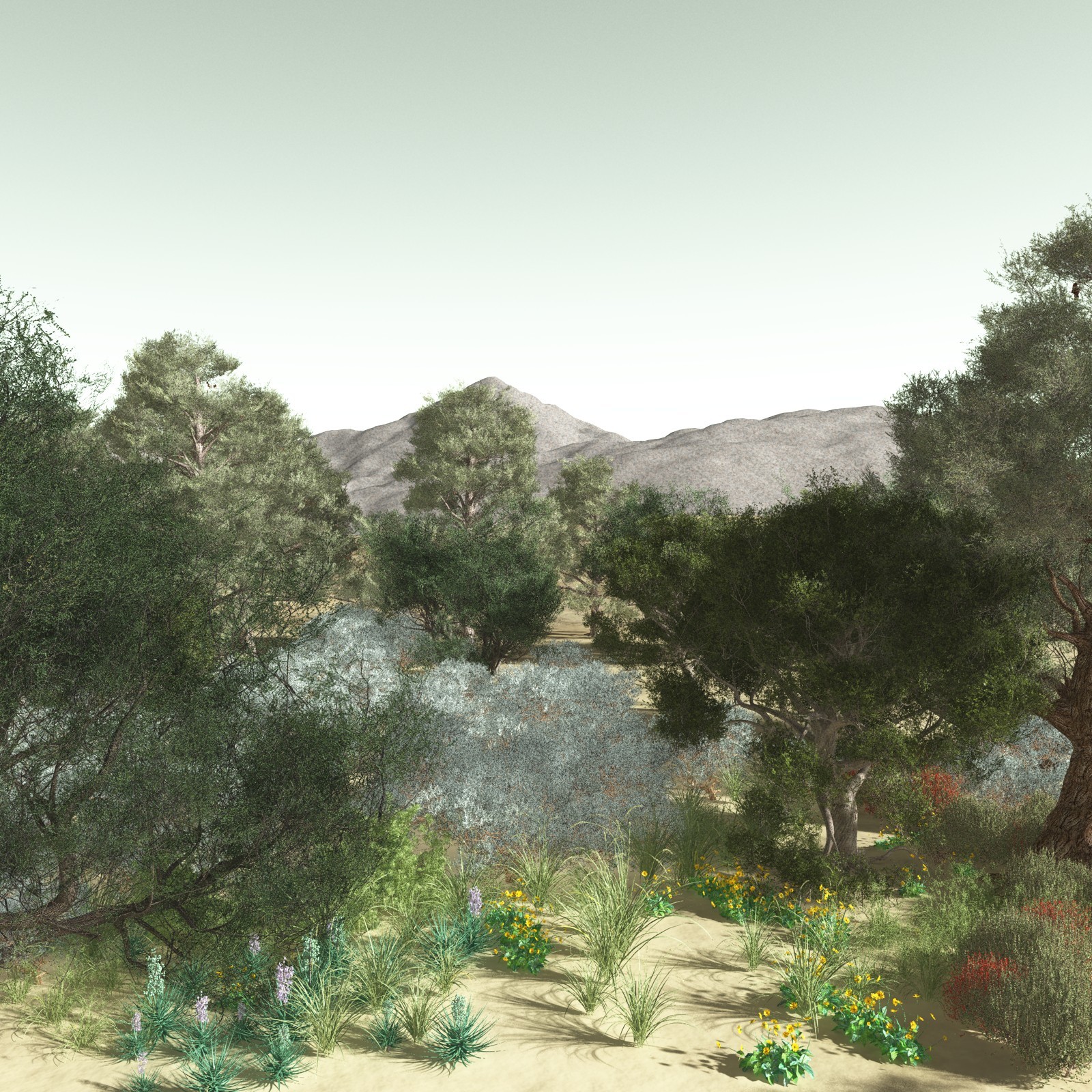 EVERYPlant US Great Basin Biome for Poser by N/A