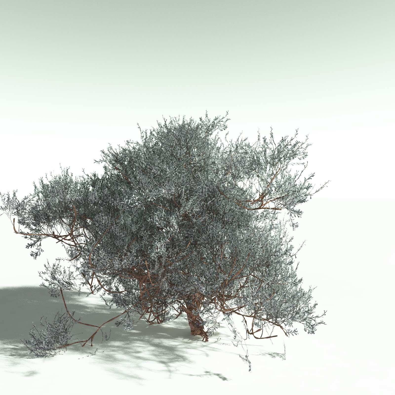 EVERYPlant US Great Basin Biome for Poser by N/A