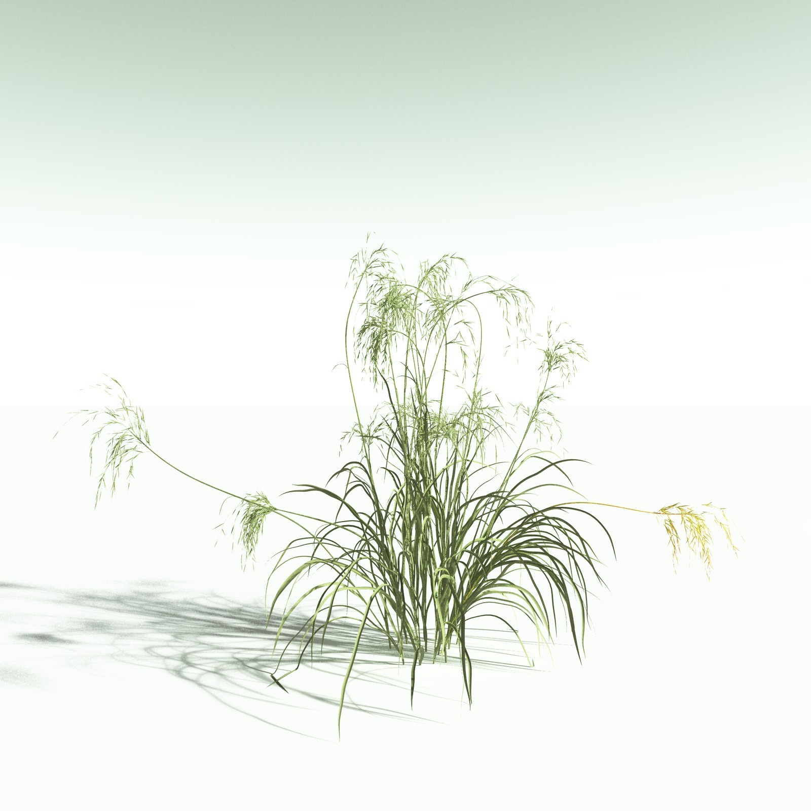 EVERYPlant US Great Basin Biome for Poser by N/A