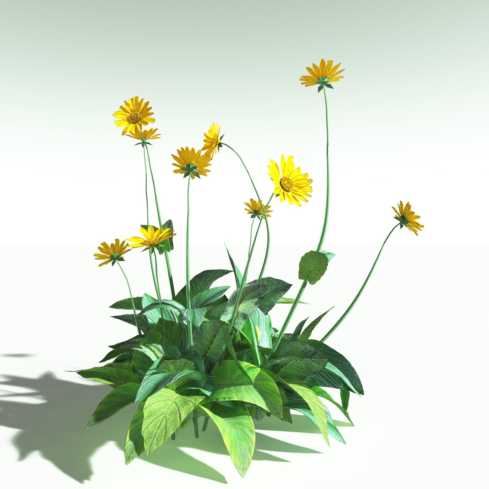 EVERYPlant US Great Basin Biome for Poser by N/A