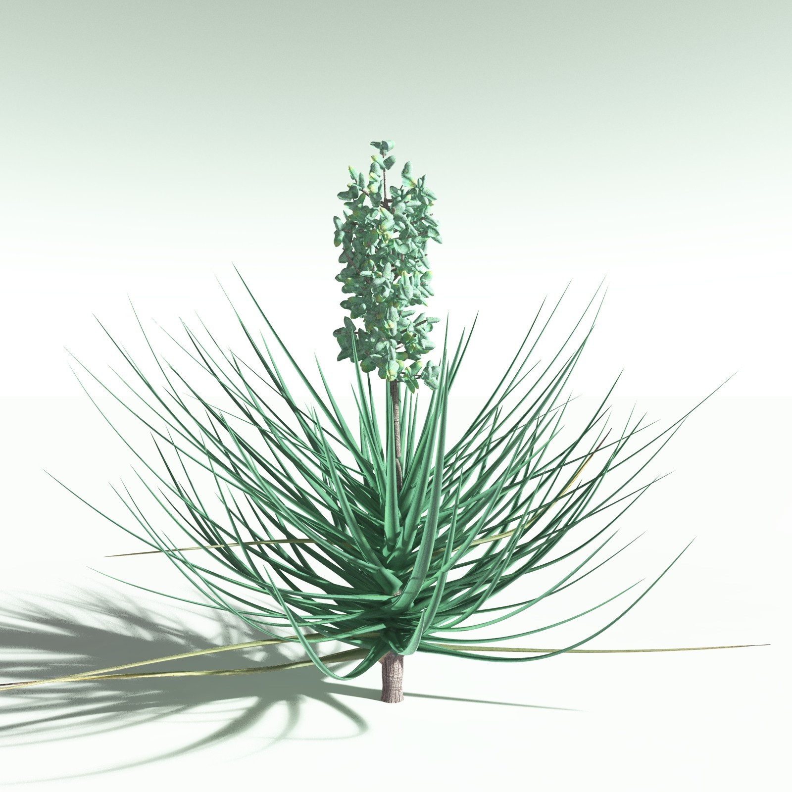EVERYPlant US Great Basin Biome for Poser by N/A