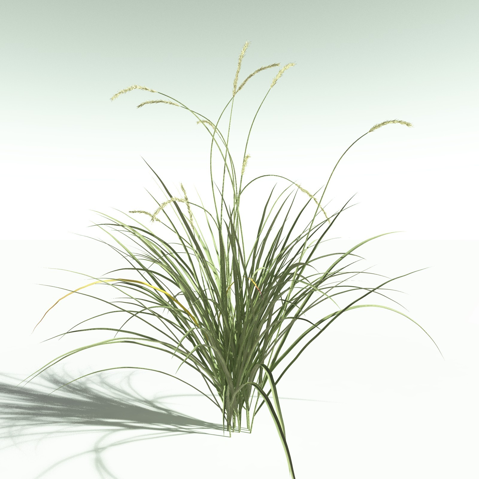 EVERYPlant US Great Basin Biome for Poser by N/A