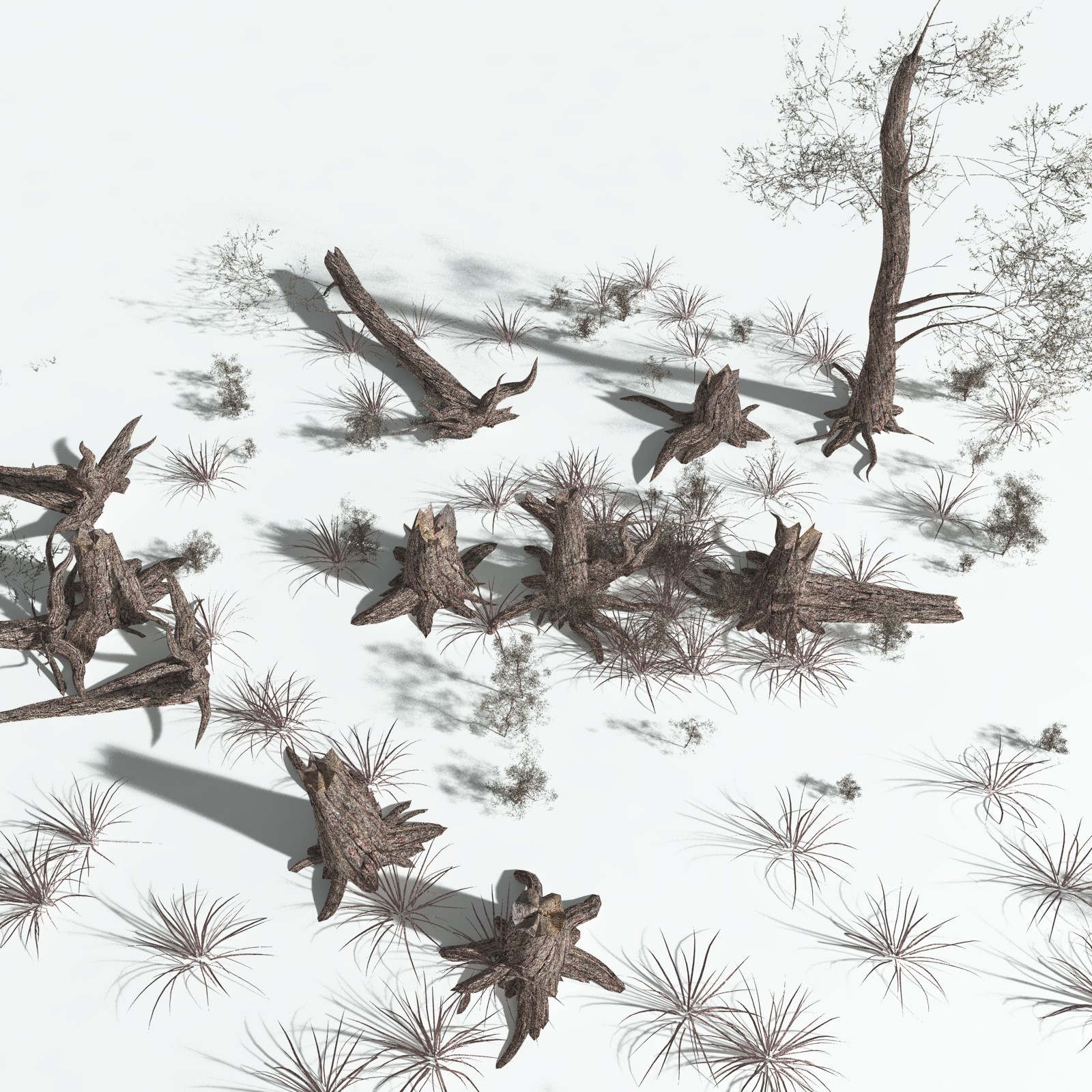 EVERYPlant US Great Basin Biome for Poser by N/A