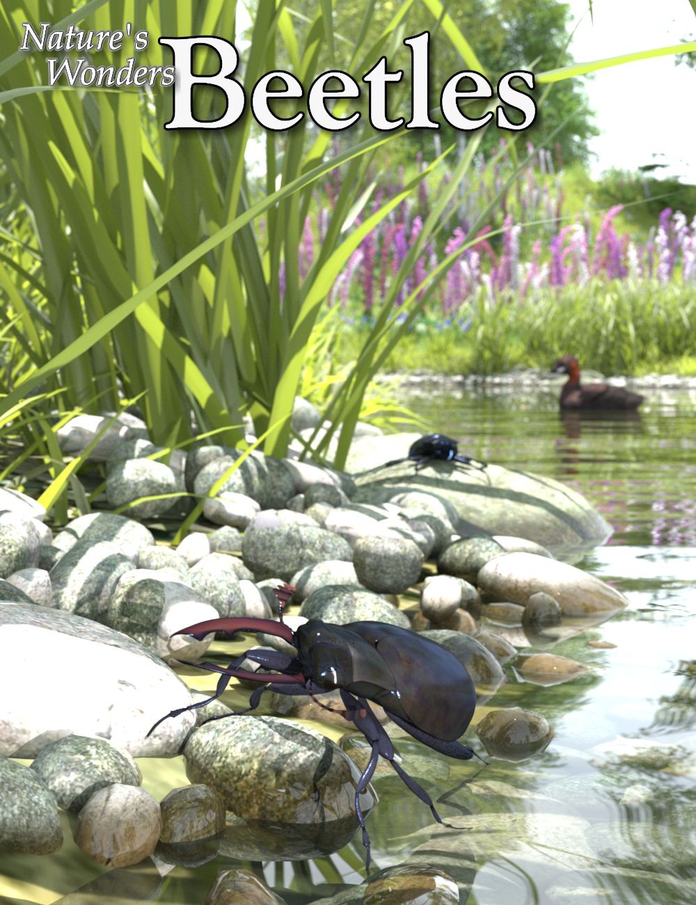 Nature's Wonders Beetles by N/A