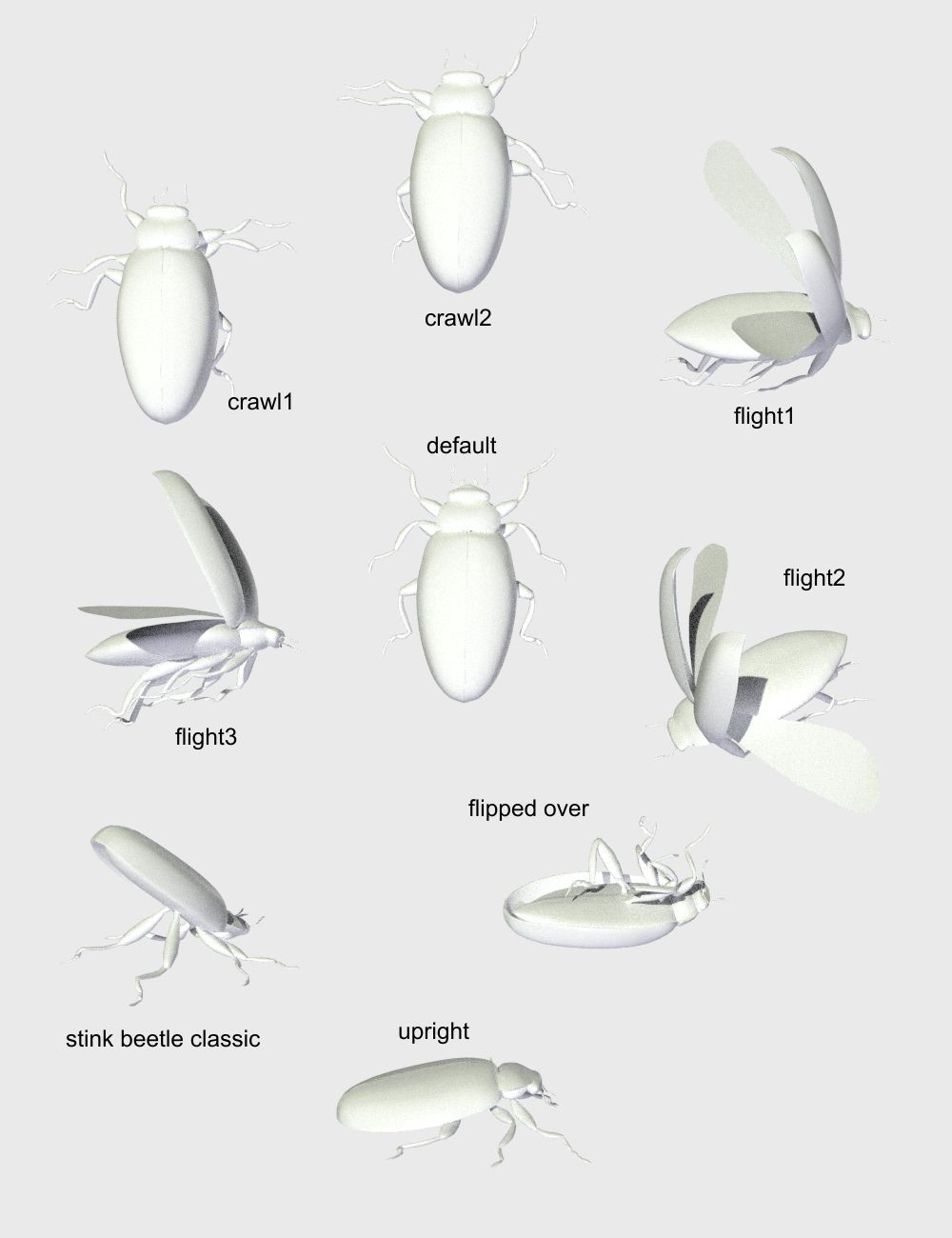 Nature's Wonders Beetles by N/A