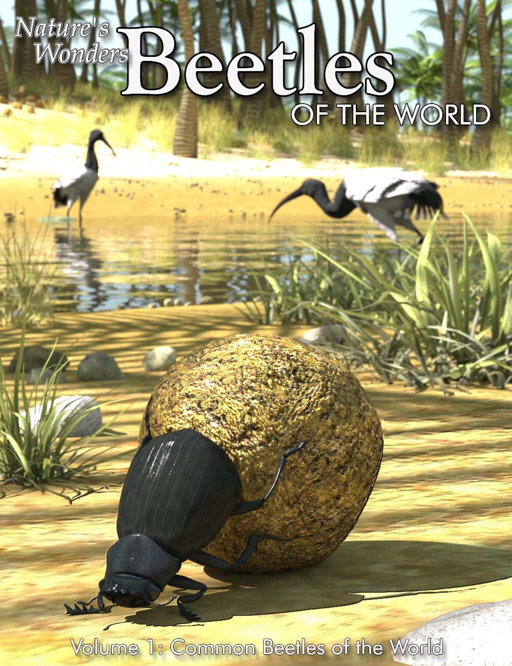 Nature's Wonders Beetles of the World Volume 1 by N/A
