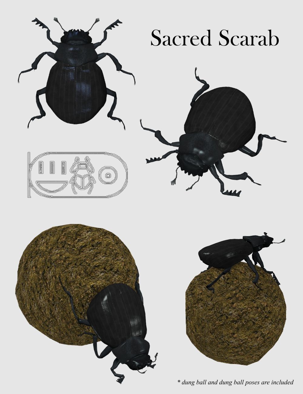 Nature's Wonders Beetles of the World Volume 1 by N/A