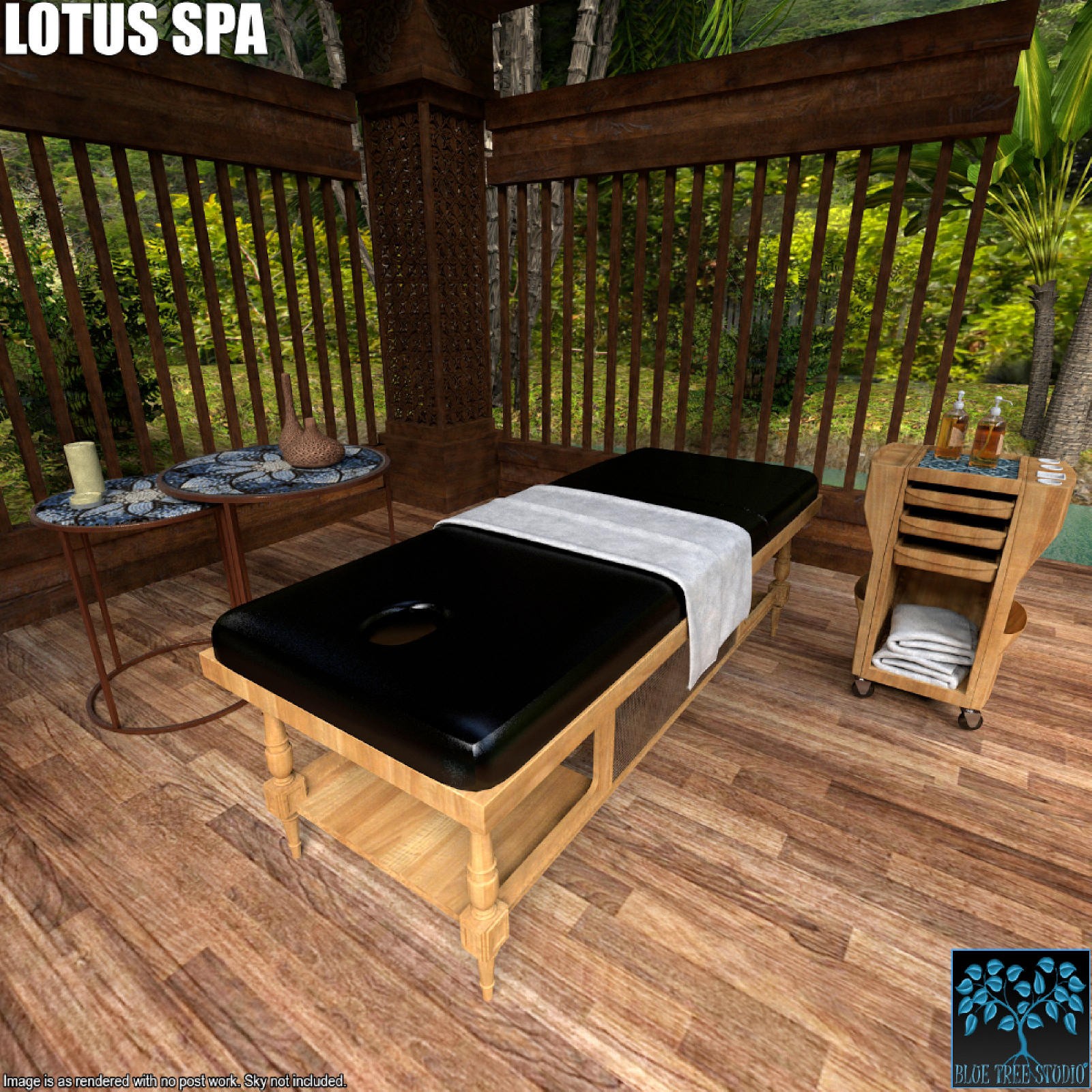 Lotus Spa for Daz Studio by N/A