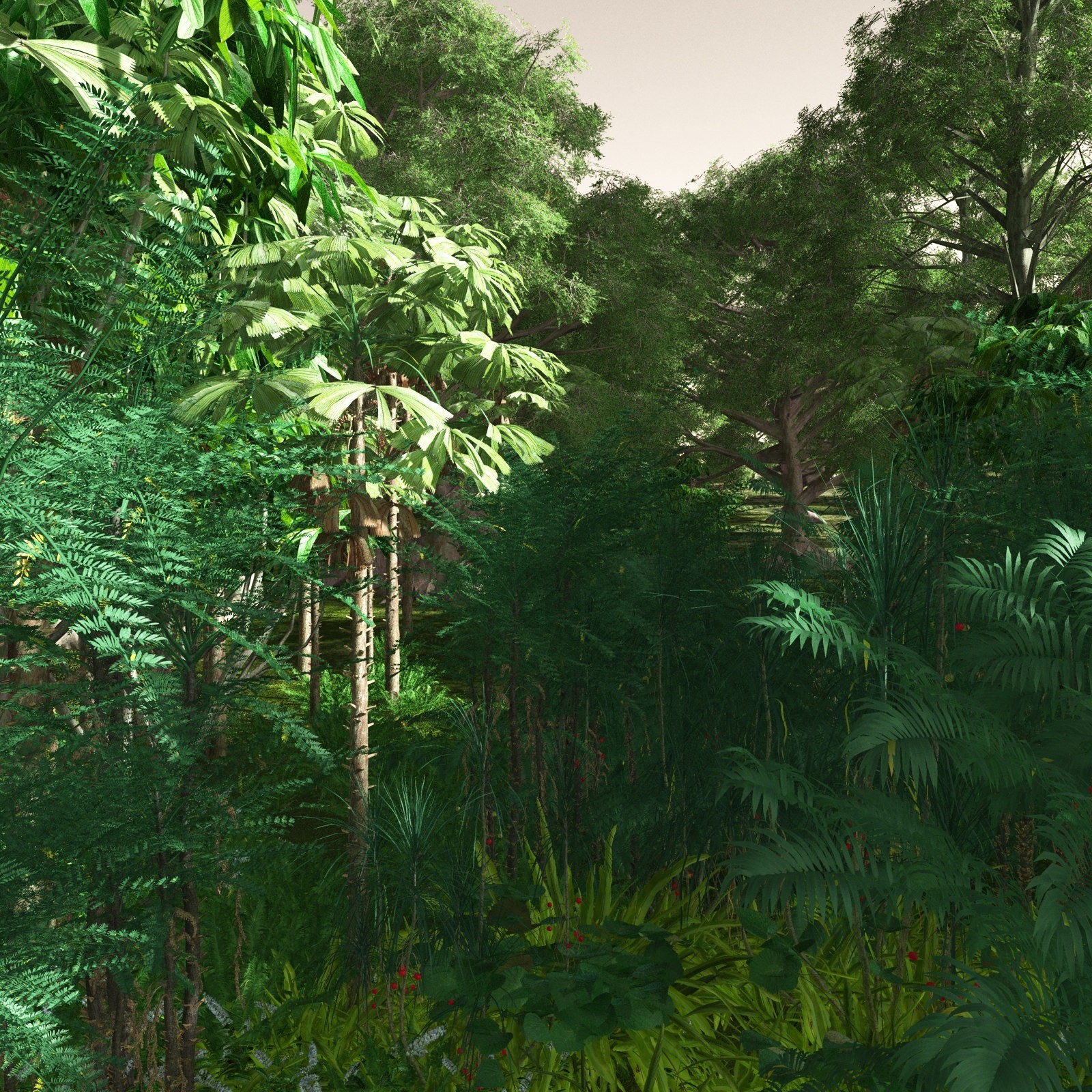 EVERYPlant Daintree Rainforest Biome for Daz by N/A