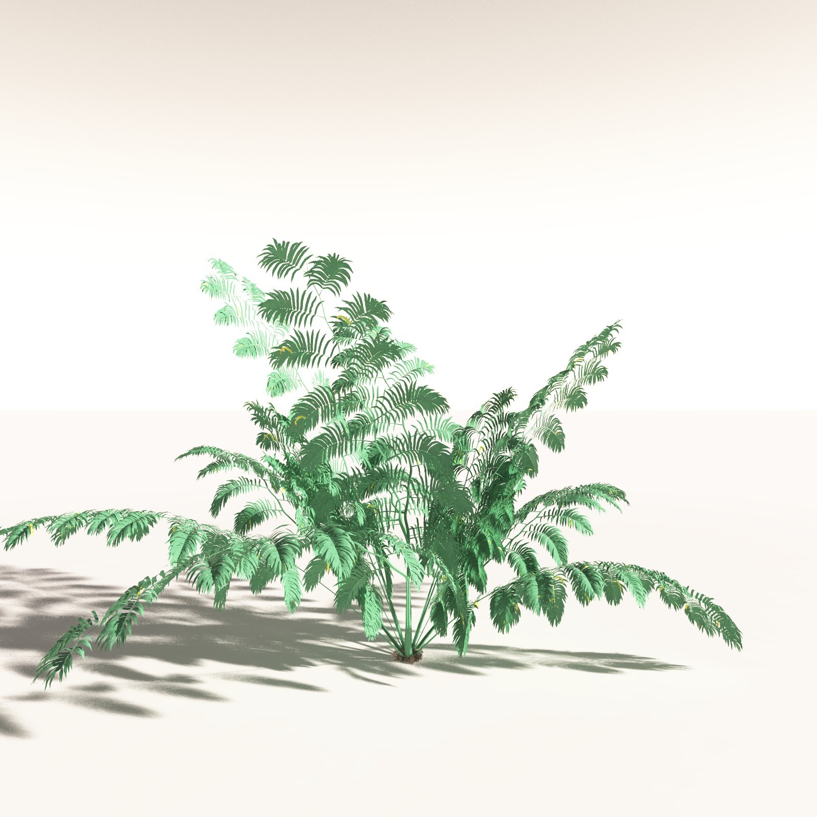 EVERYPlant Daintree Rainforest Biome for Daz by N/A