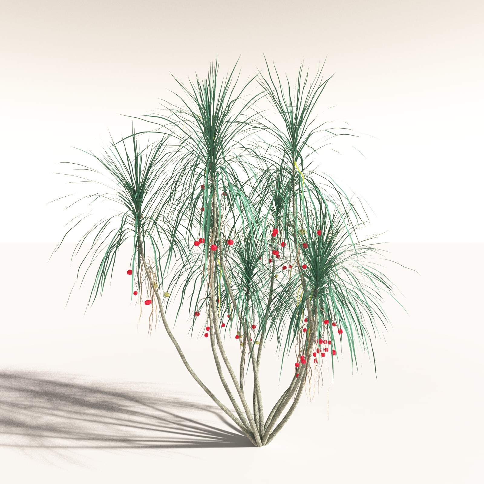 EVERYPlant Daintree Rainforest Biome for Daz by N/A