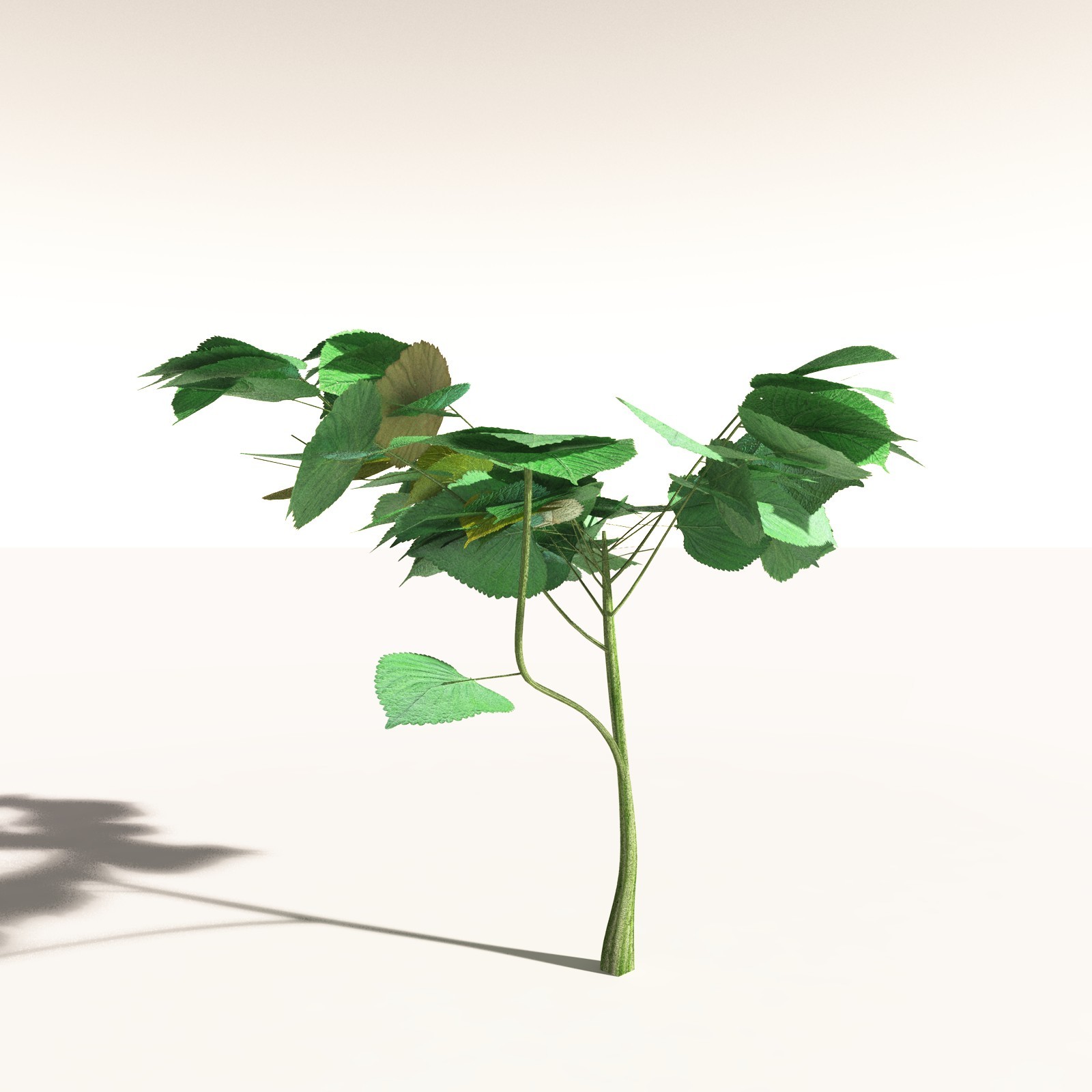 EVERYPlant Daintree Rainforest Biome for Daz by N/A