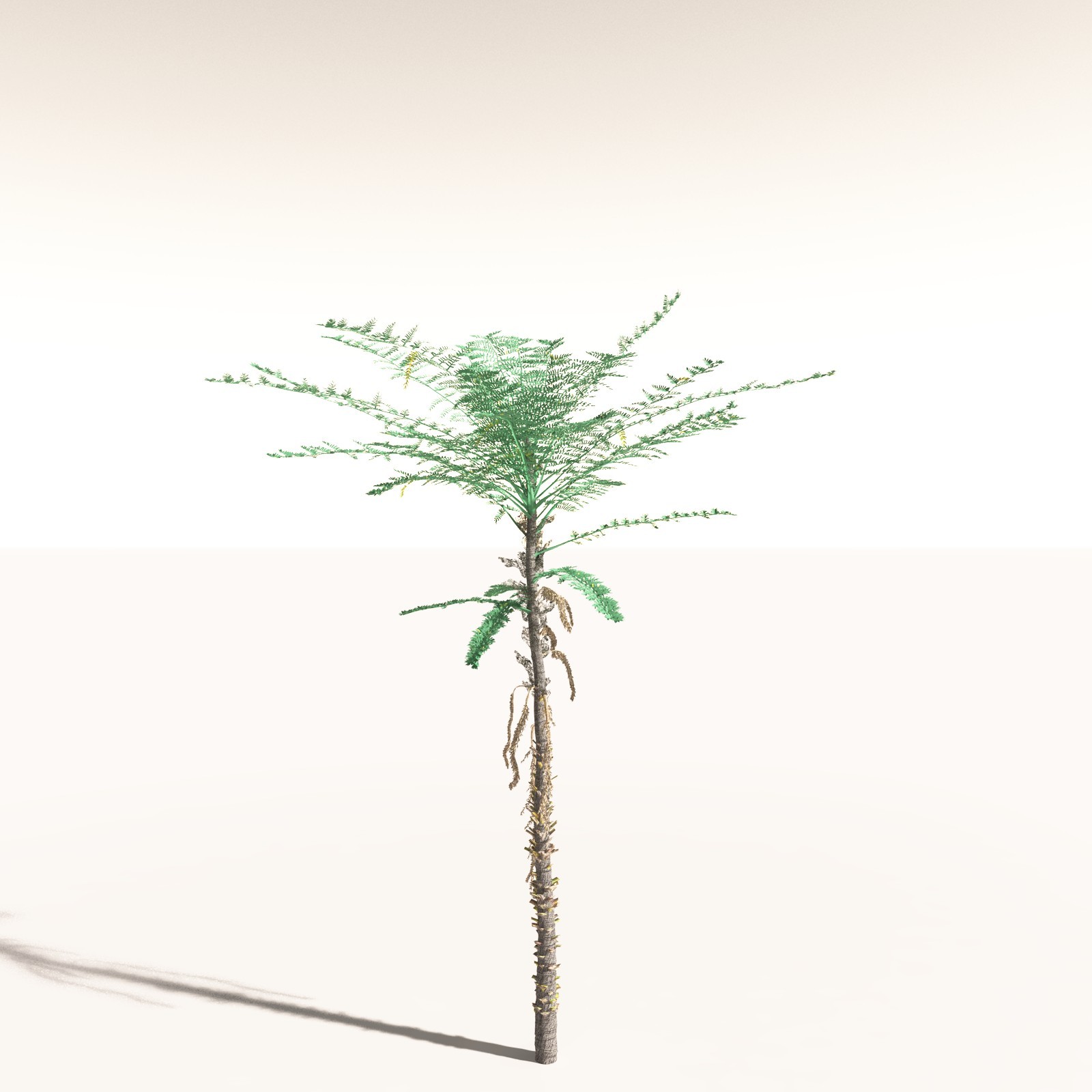 EVERYPlant Daintree Rainforest Biome for Daz by N/A