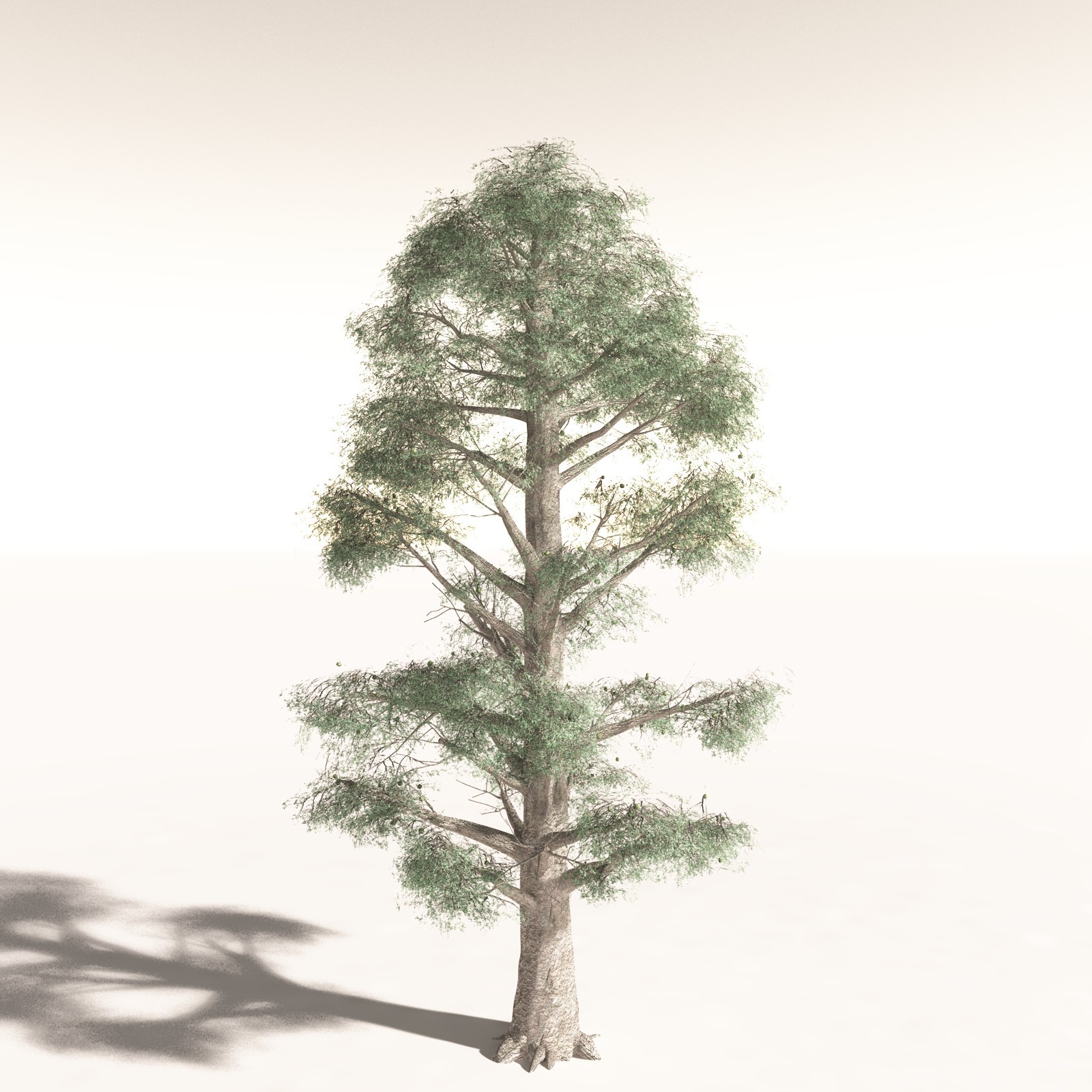 EVERYPlant Daintree Rainforest Biome for Daz by N/A