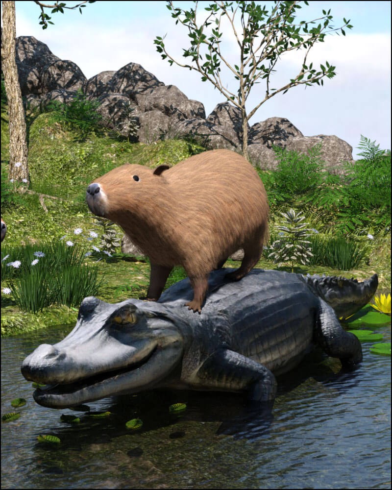 Capybara by N/A