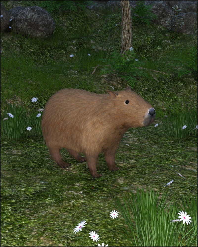Capybara by N/A