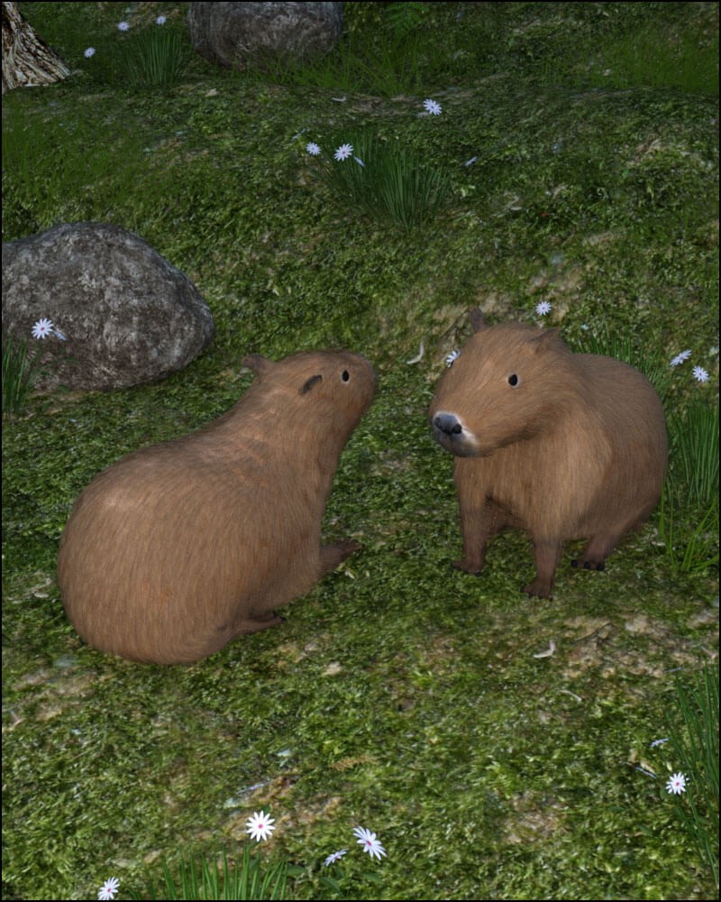 Capybara by N/A