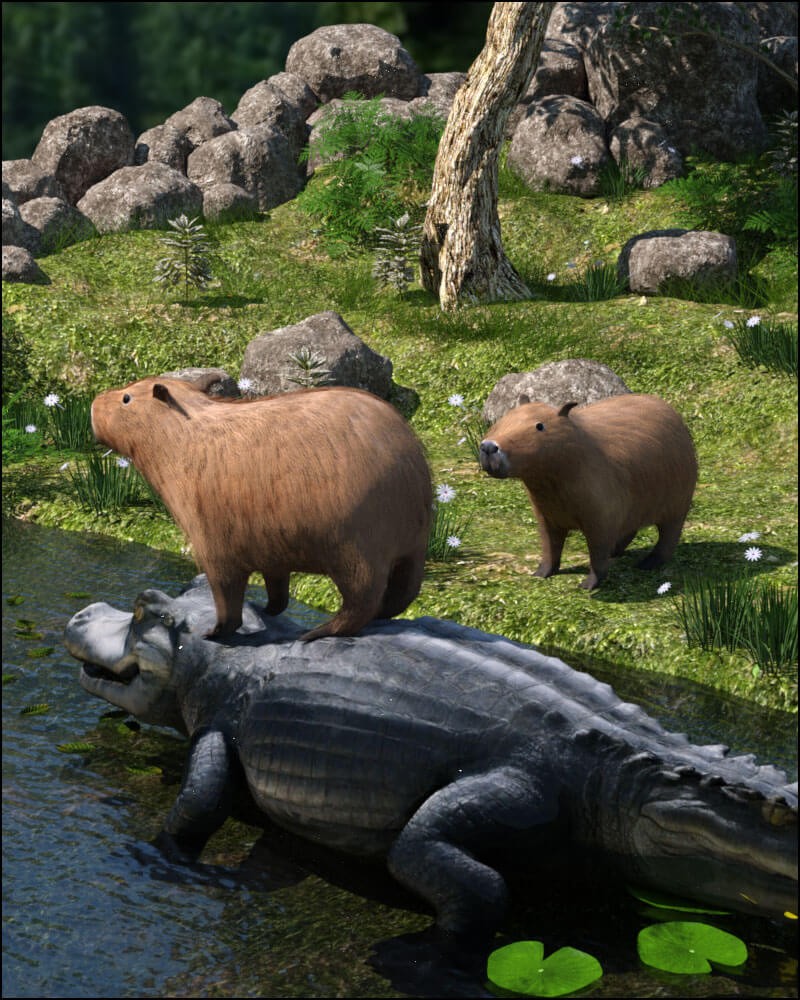 Capybara by N/A