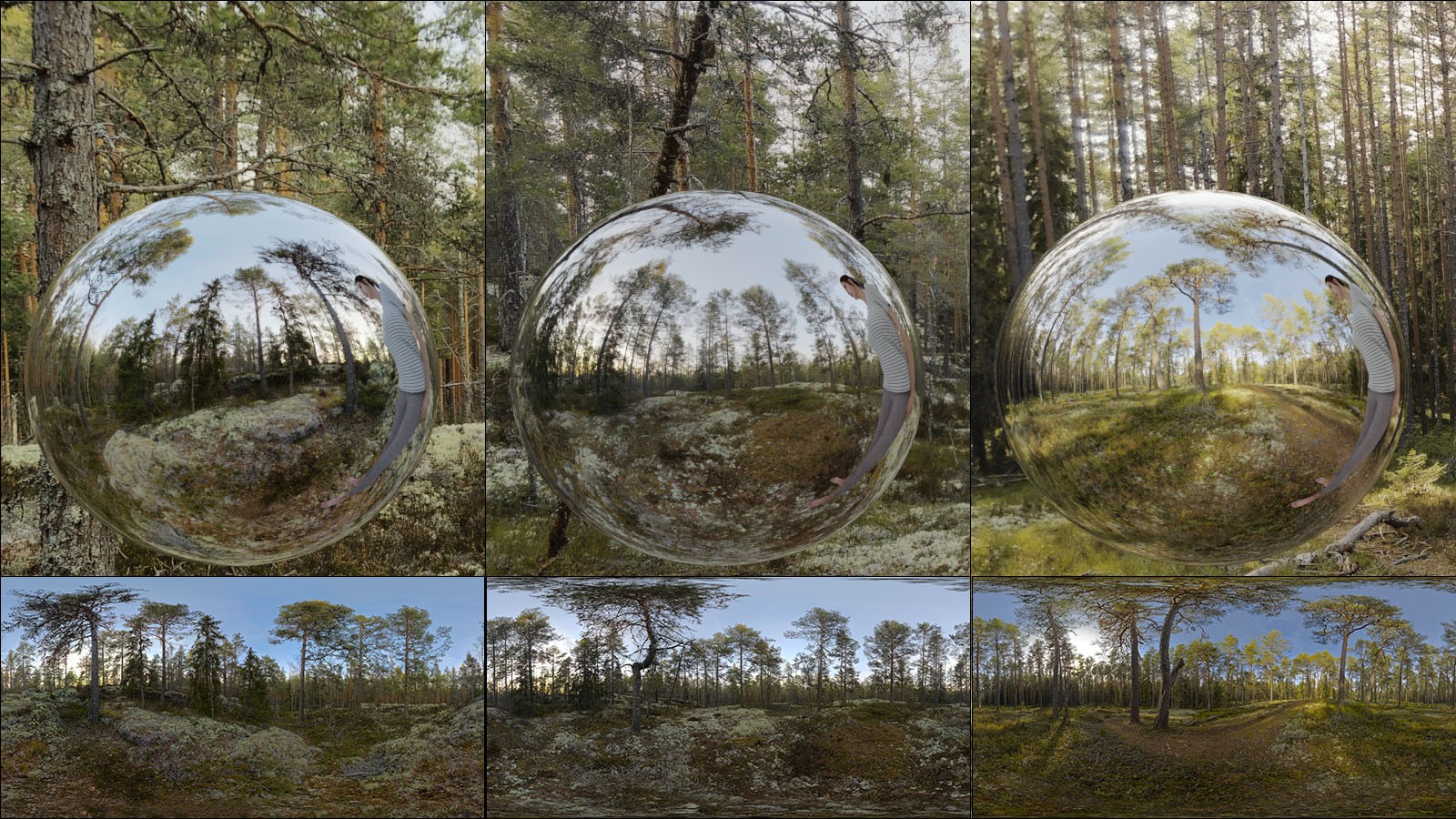 Mossy Hills: 16K HDRIs by N/A
