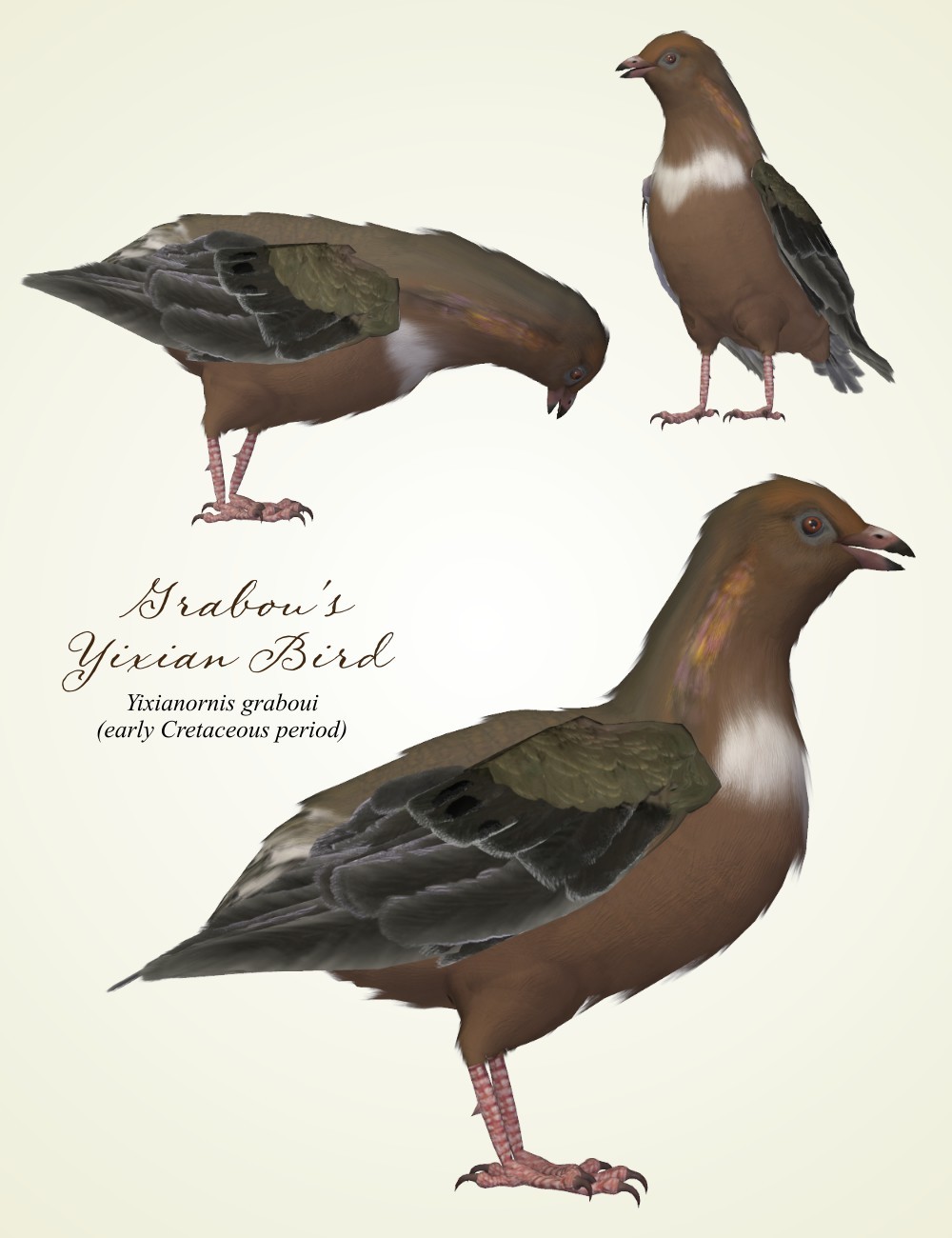 Songbird ReMix Birds of the Mesozoic by N/A