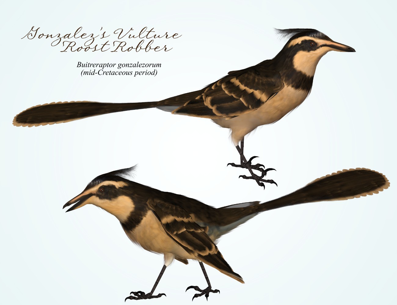 Songbird ReMix Birds of the Mesozoic by N/A