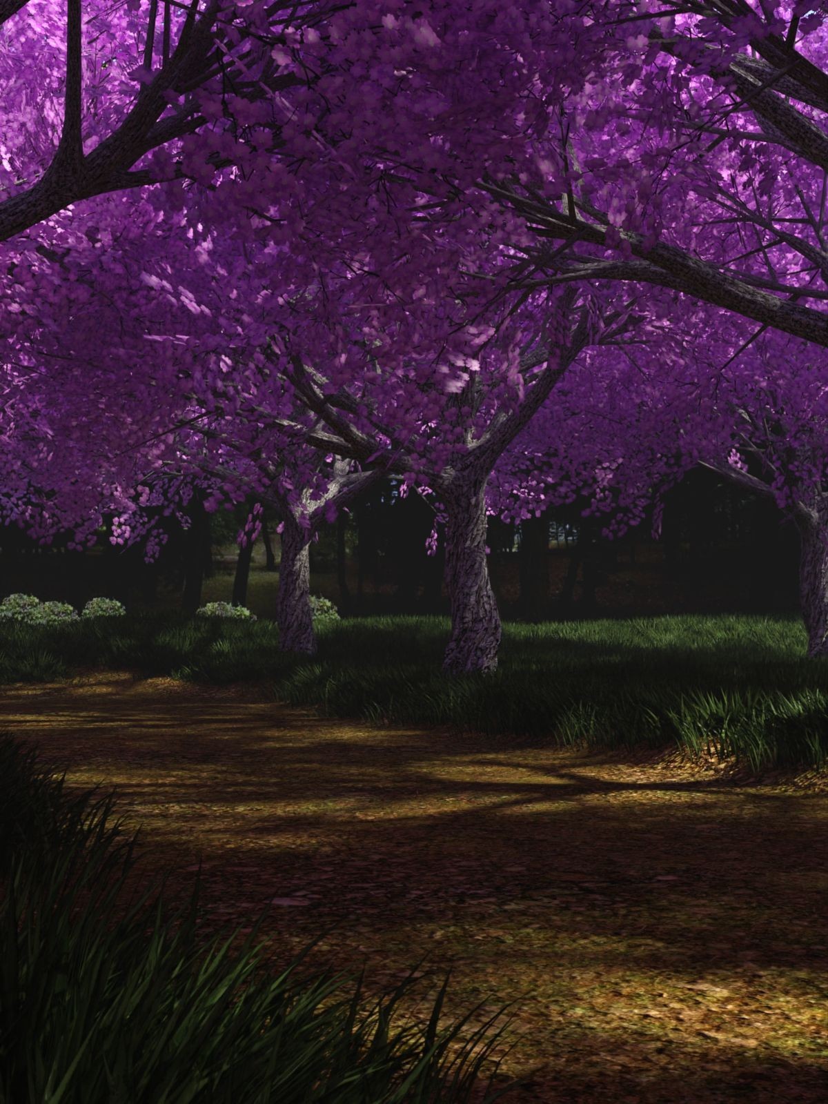 The Beautiful Path by N/A