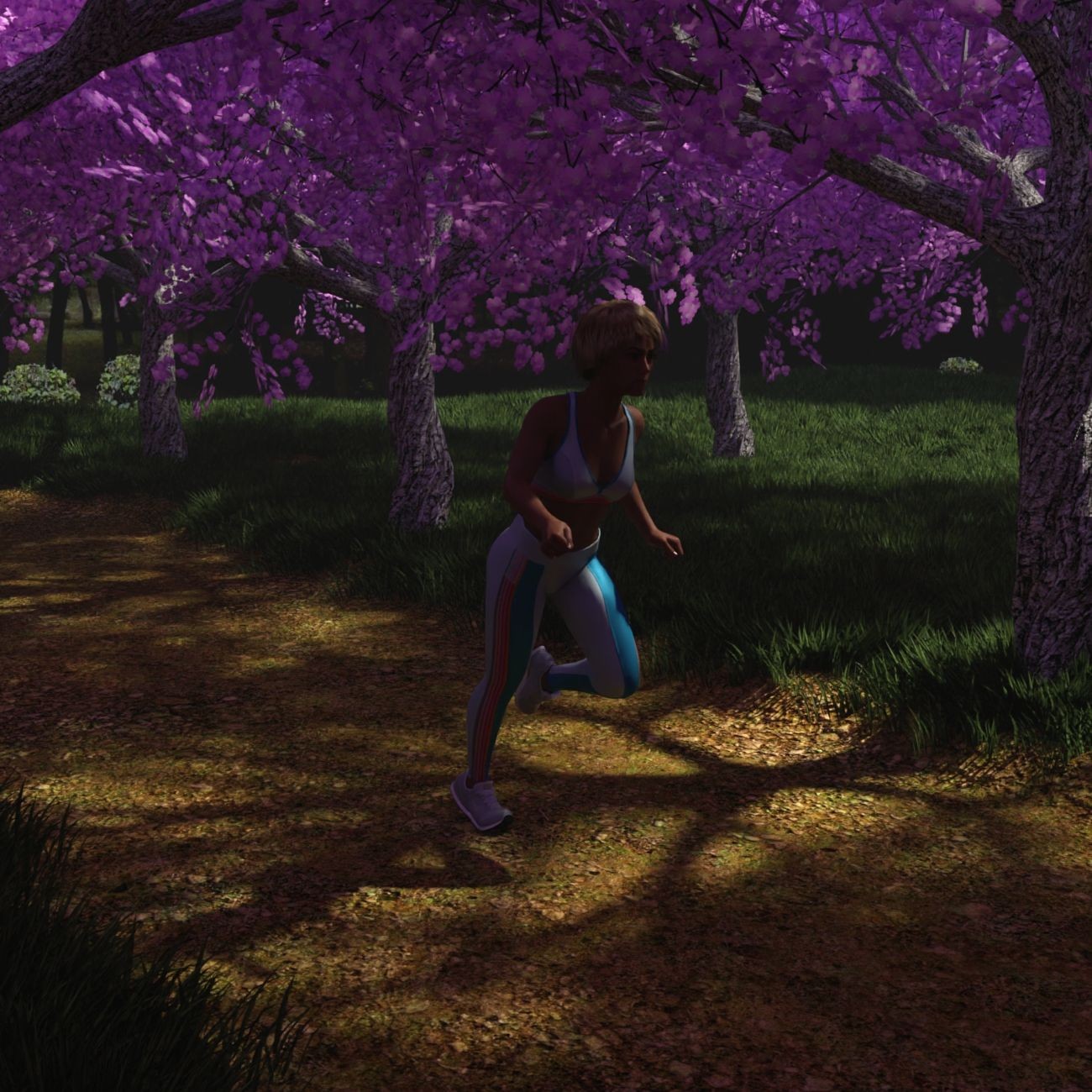 The Beautiful Path by N/A