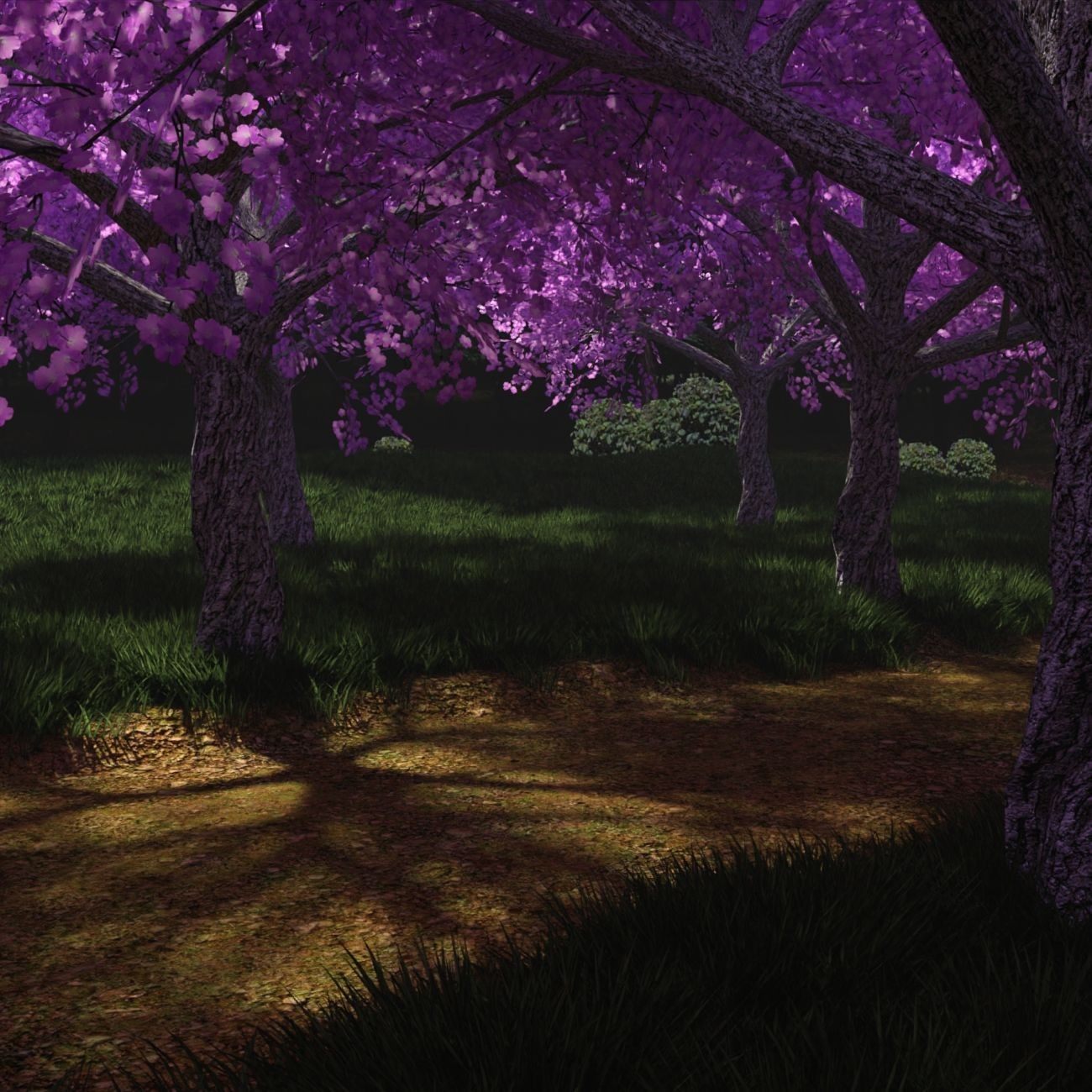 The Beautiful Path by N/A