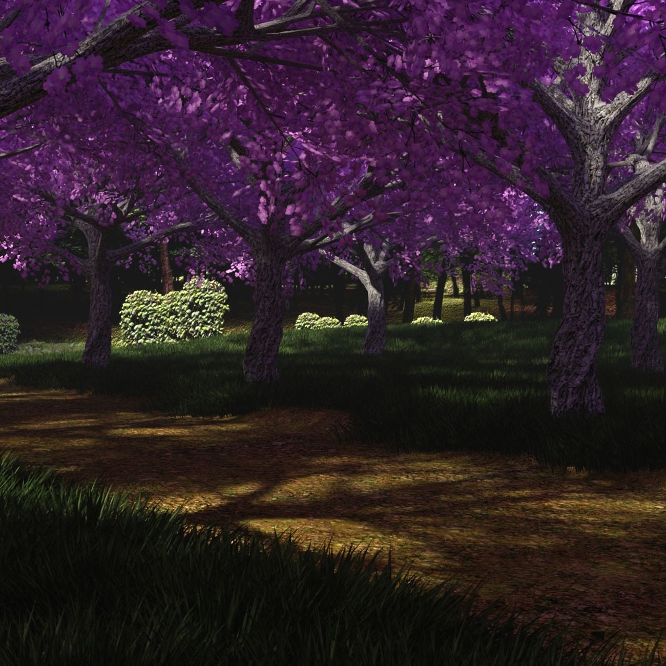 The Beautiful Path by N/A