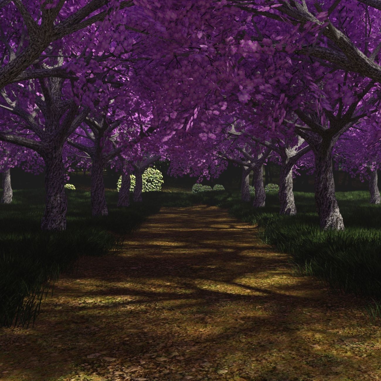 The Beautiful Path by N/A