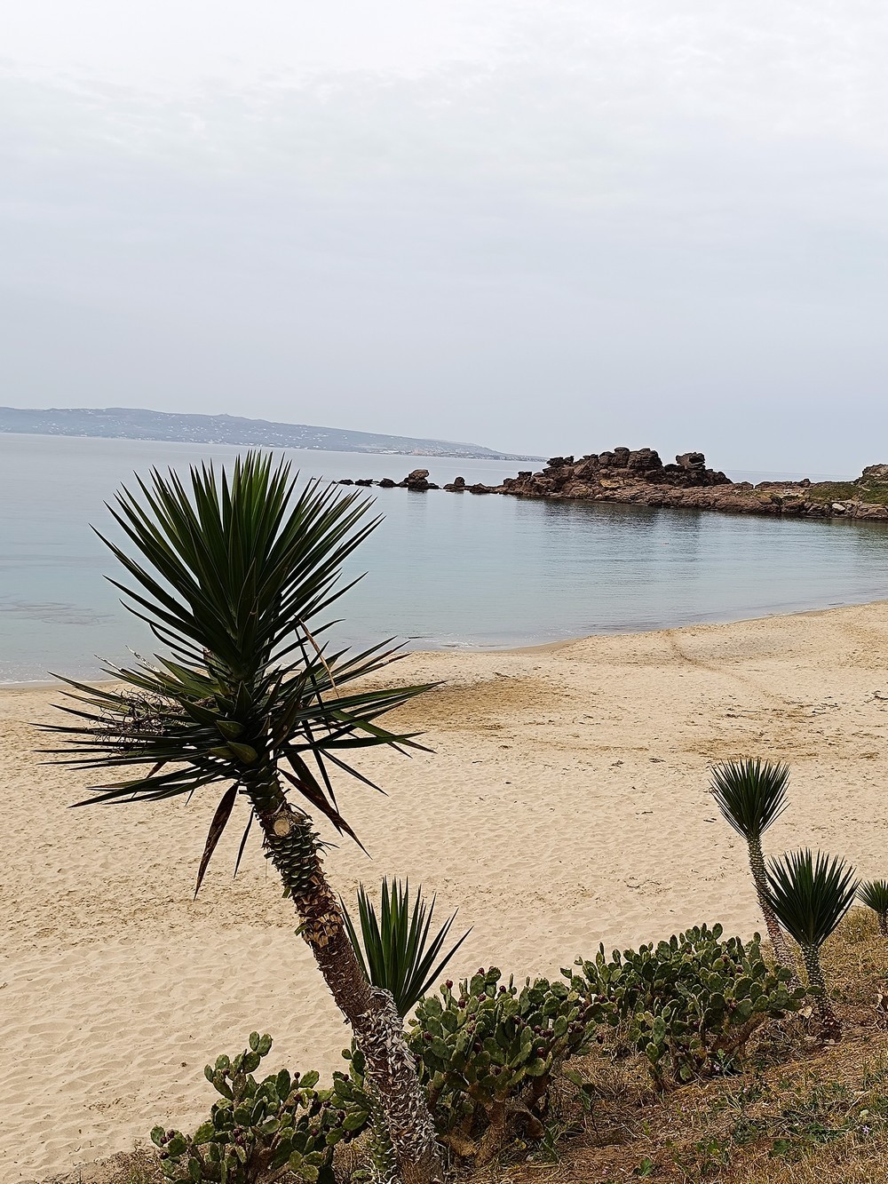 A walk in a little beach by N/A