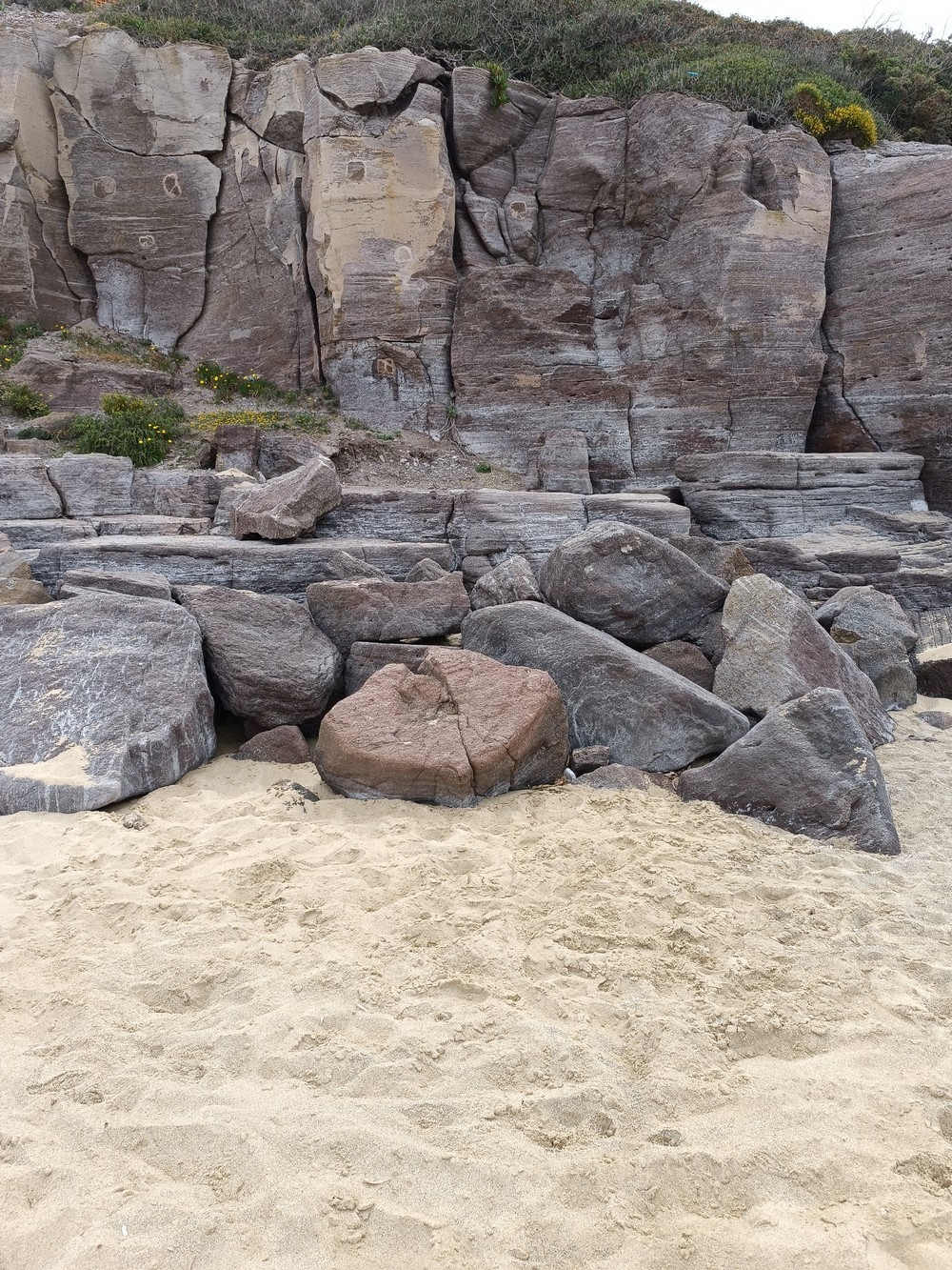 A walk in a little beach by N/A