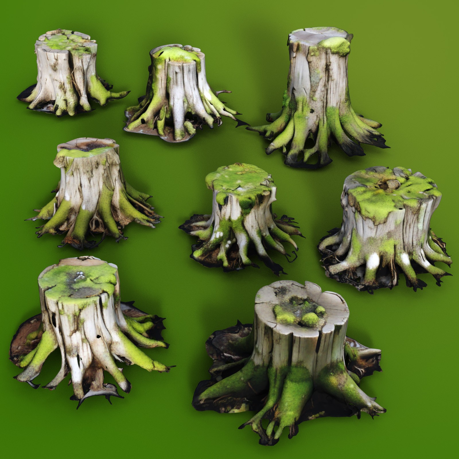 Tree Stumps 2 by N/A