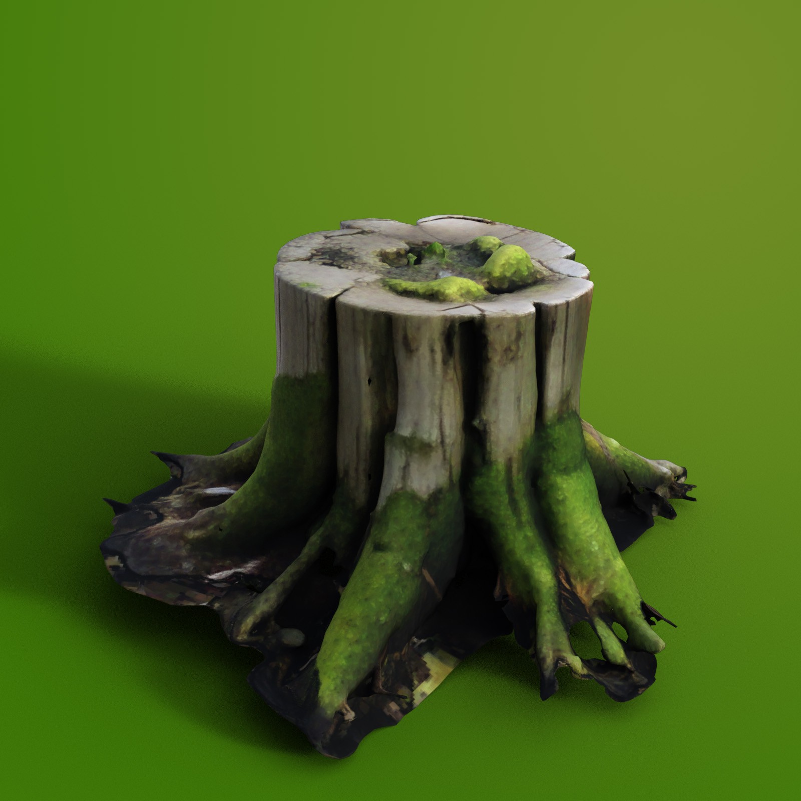 Tree Stumps 2 by N/A
