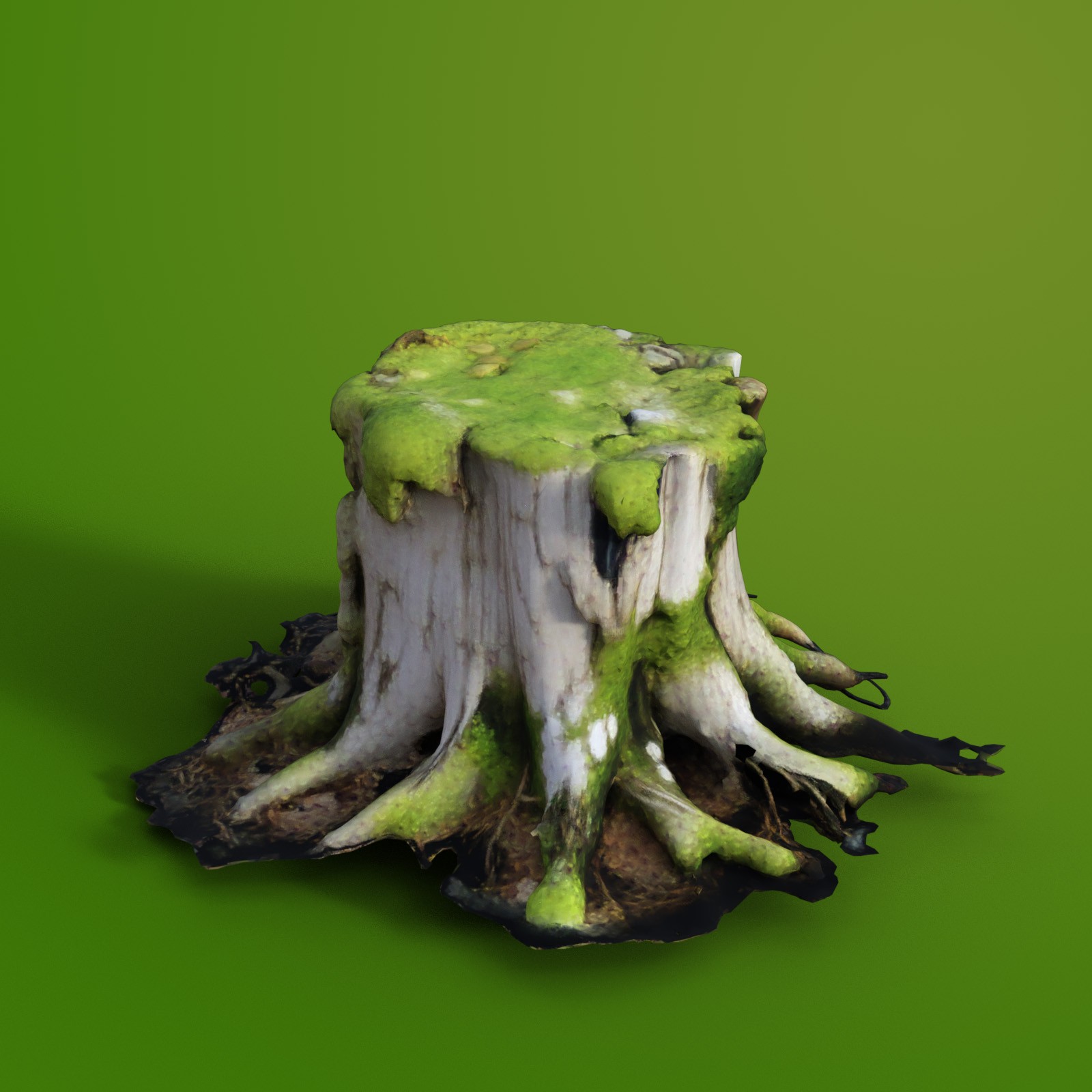 Tree Stumps 2 by N/A
