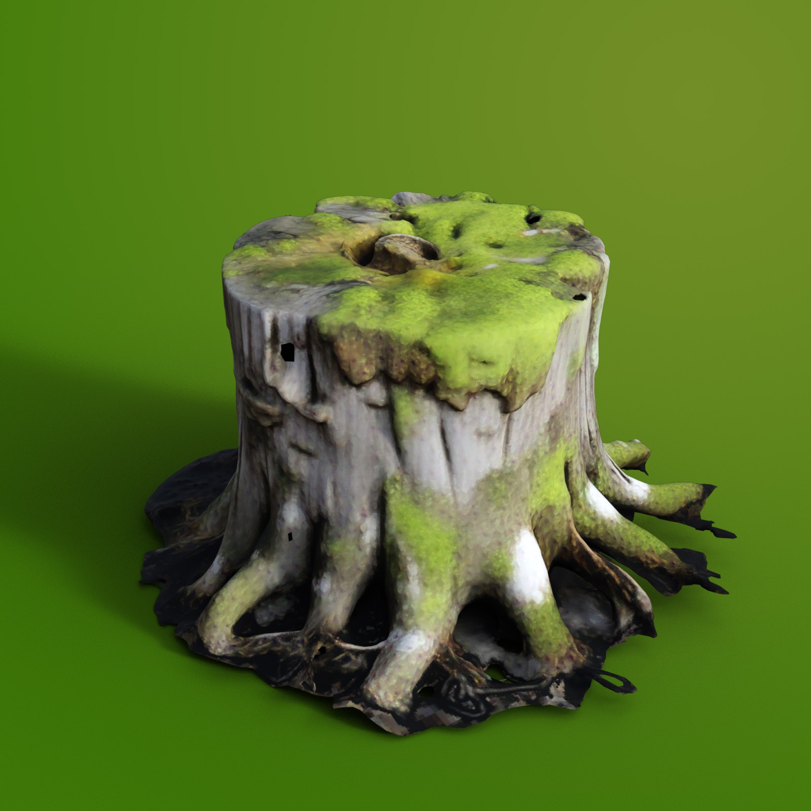 Tree Stumps 2 by N/A