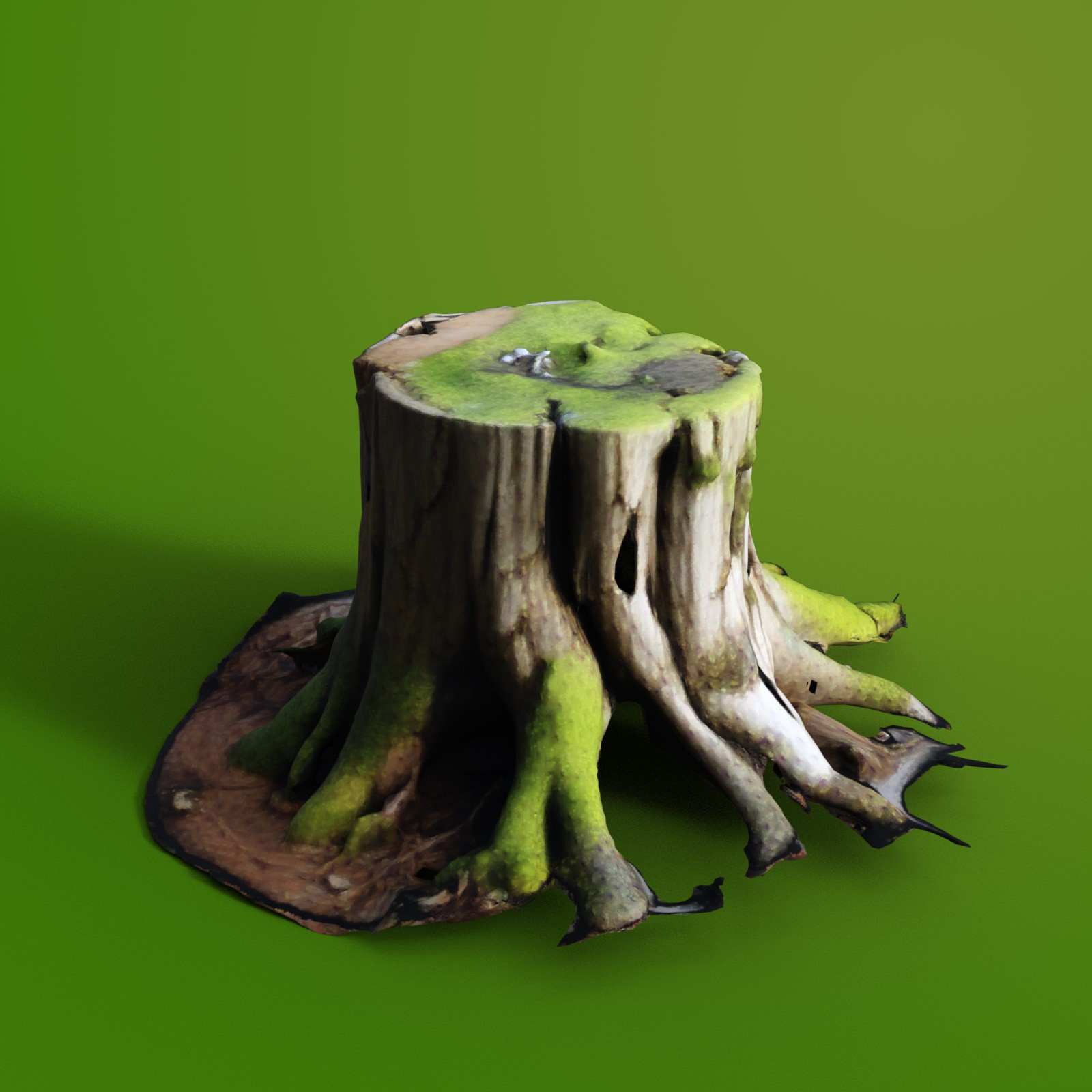 Tree Stumps 2 by N/A