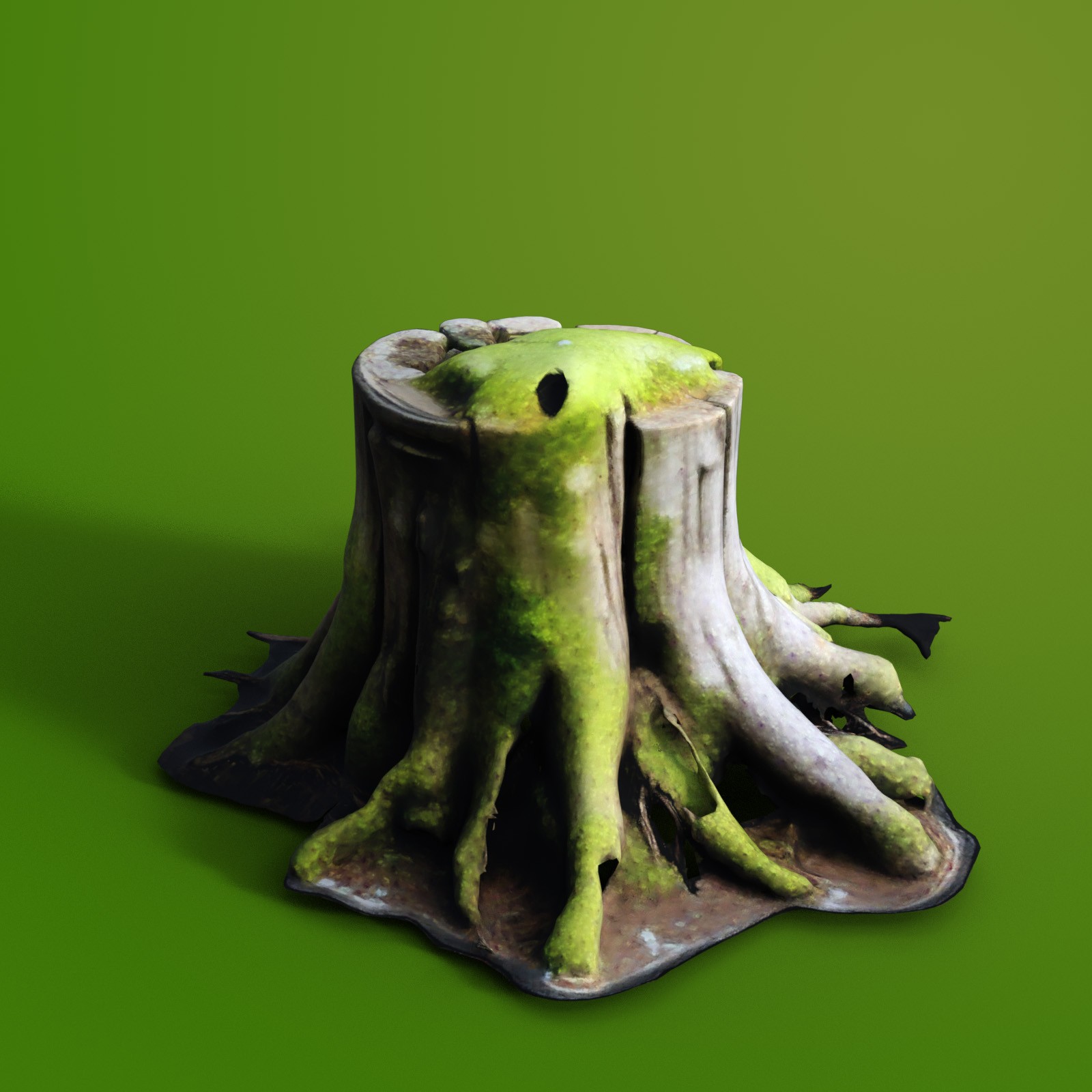 Tree Stumps 2 by N/A