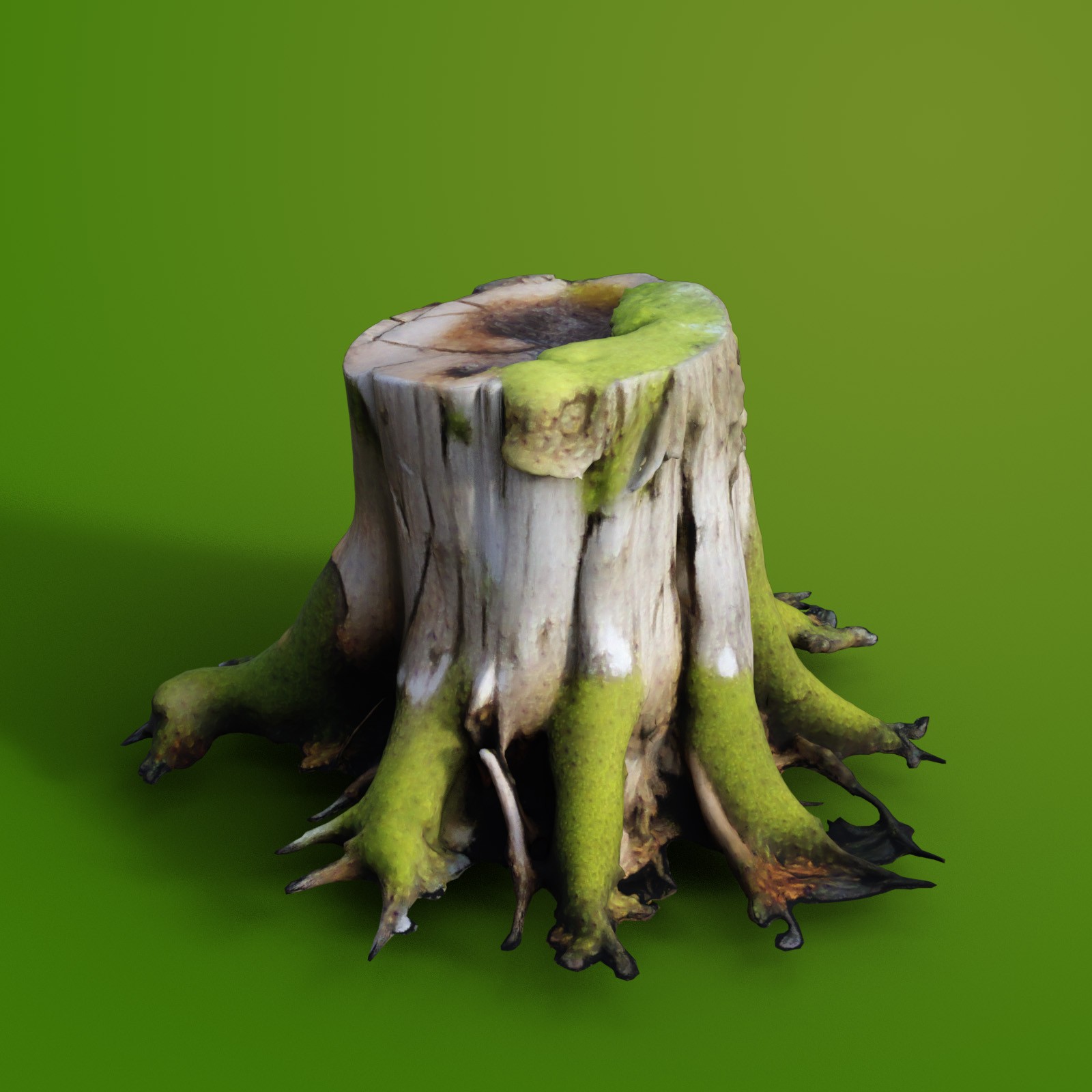 Tree Stumps 2 by N/A
