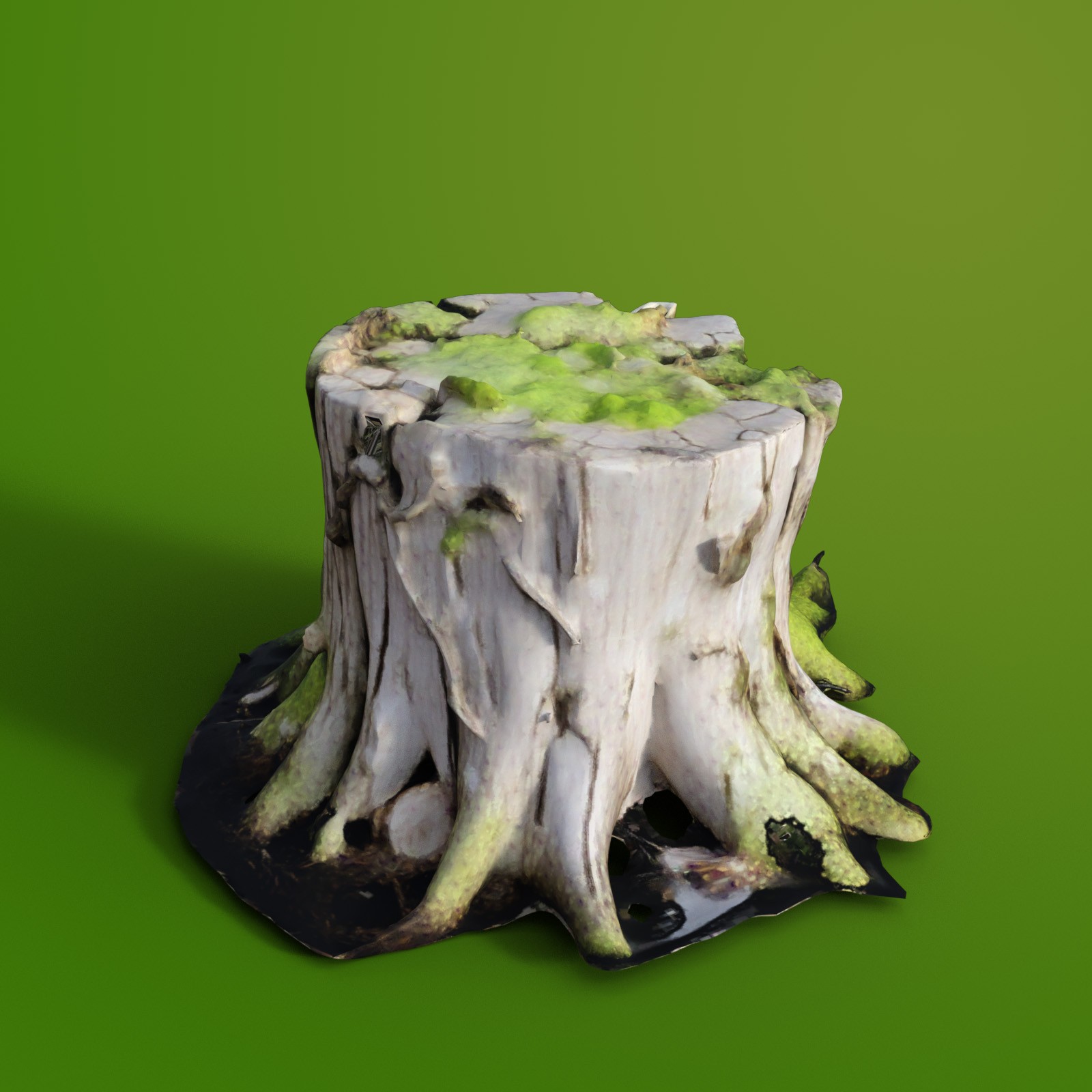Tree Stumps 2 by N/A