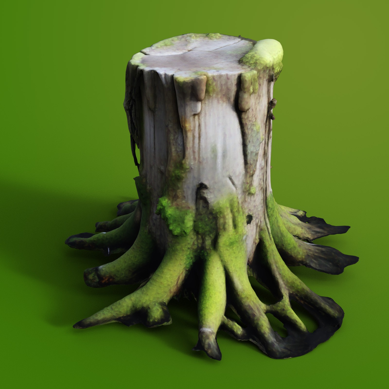 Tree Stumps 2 by N/A