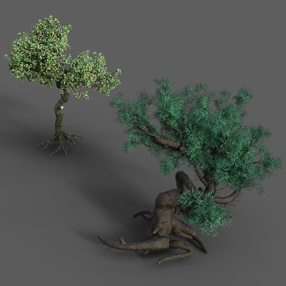 Enchanted Path for Daz Studio by N/A