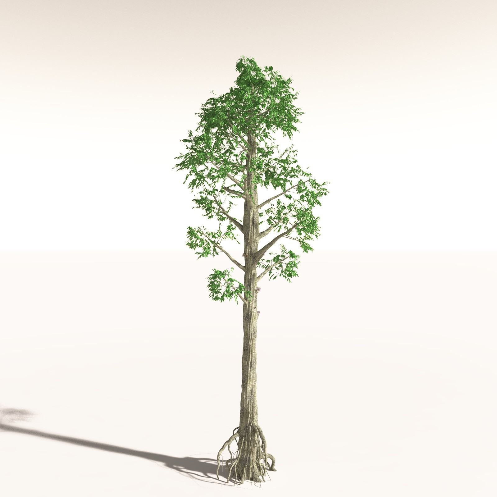 EVERYPlant Permian Biome for Daz by N/A