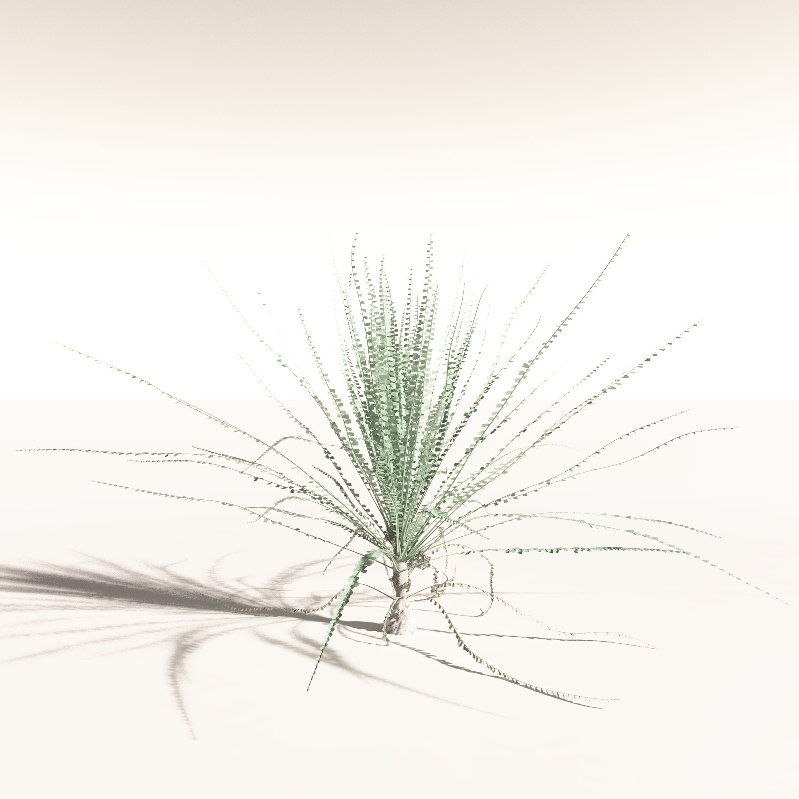 EVERYPlant Permian Biome for Daz by N/A