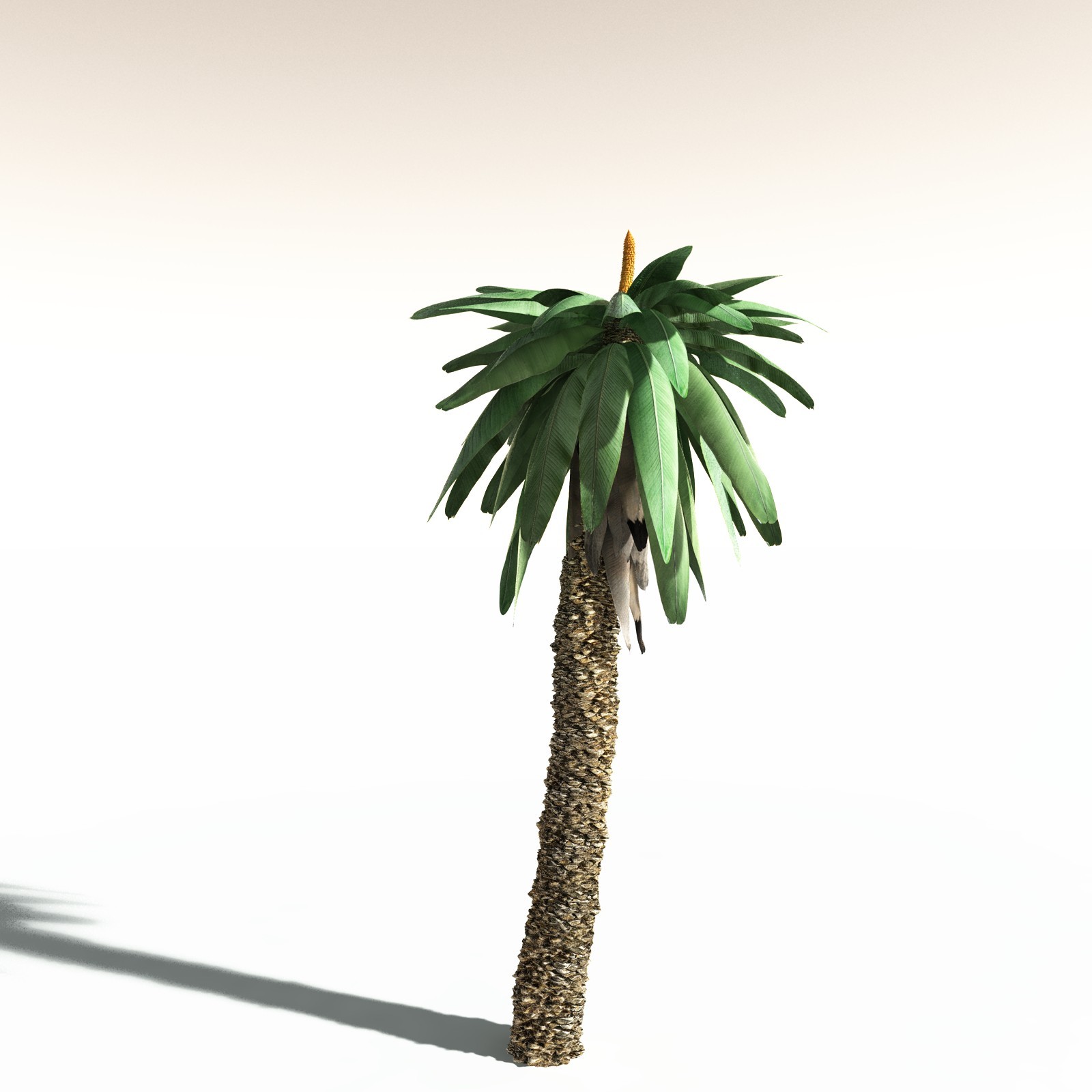 EVERYPlant Permian Biome for Daz by N/A