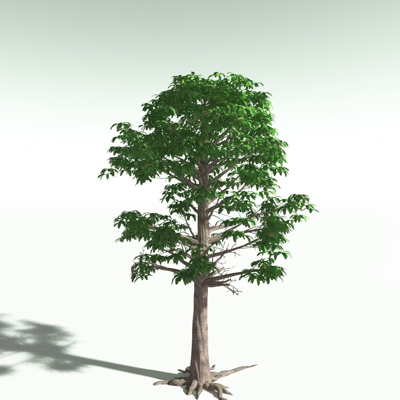 EVERYPlant Permian Biome for Poser by N/A