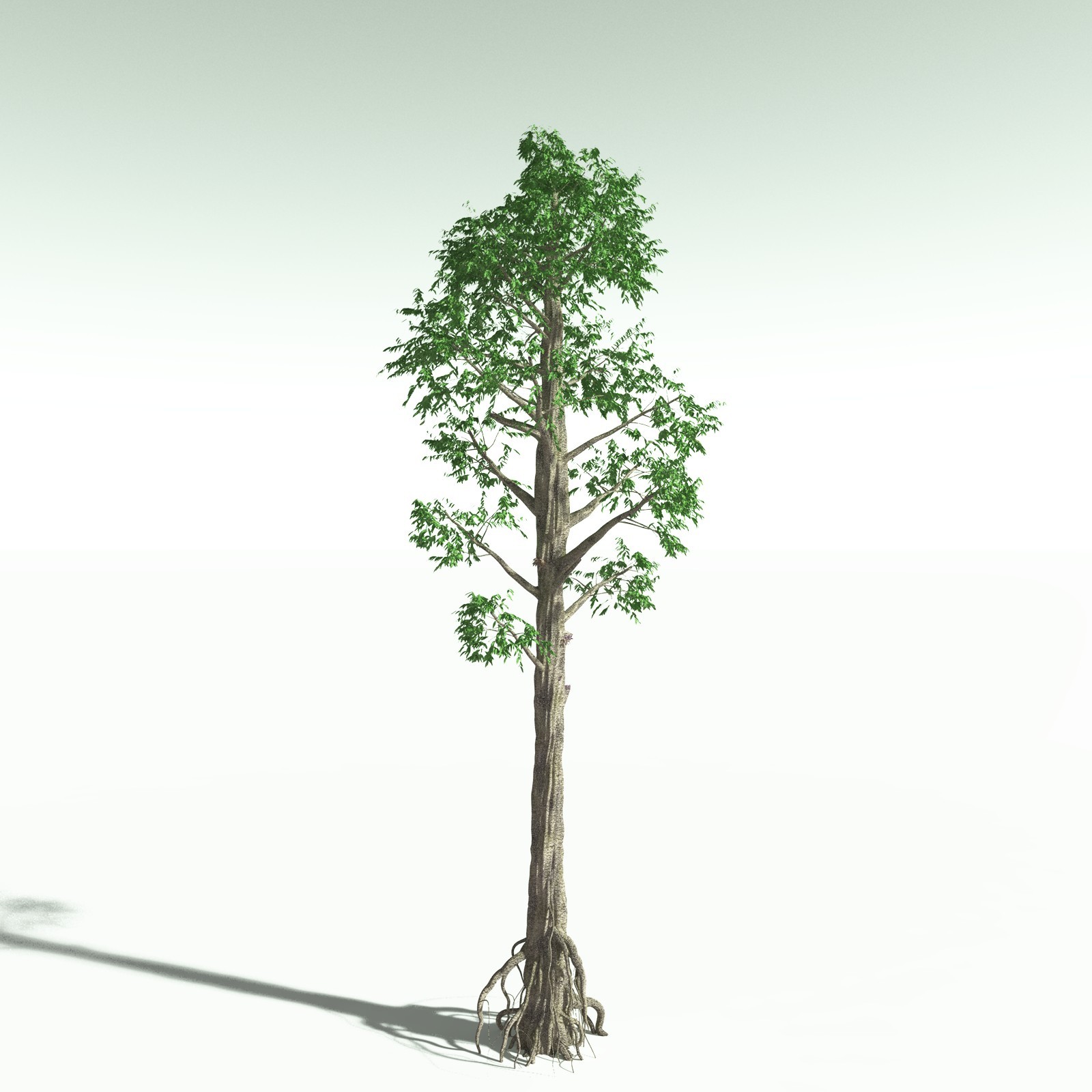 EVERYPlant Permian Biome for Poser by N/A