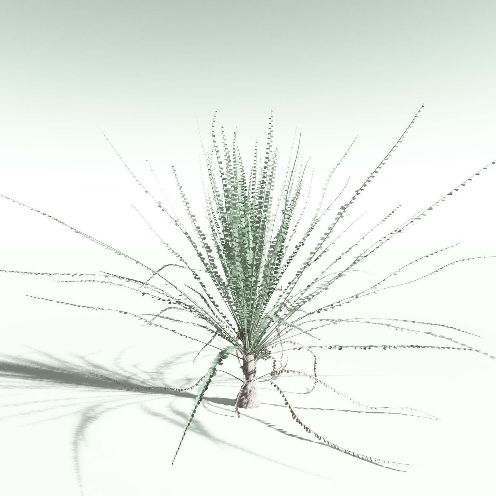 EVERYPlant Permian Biome for Poser by N/A